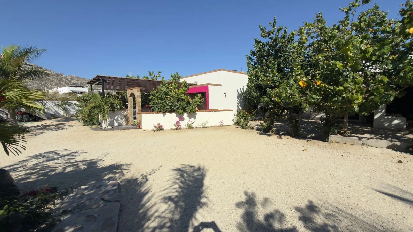 PHOTO-2026-03-09-16-38-23 6.jpg