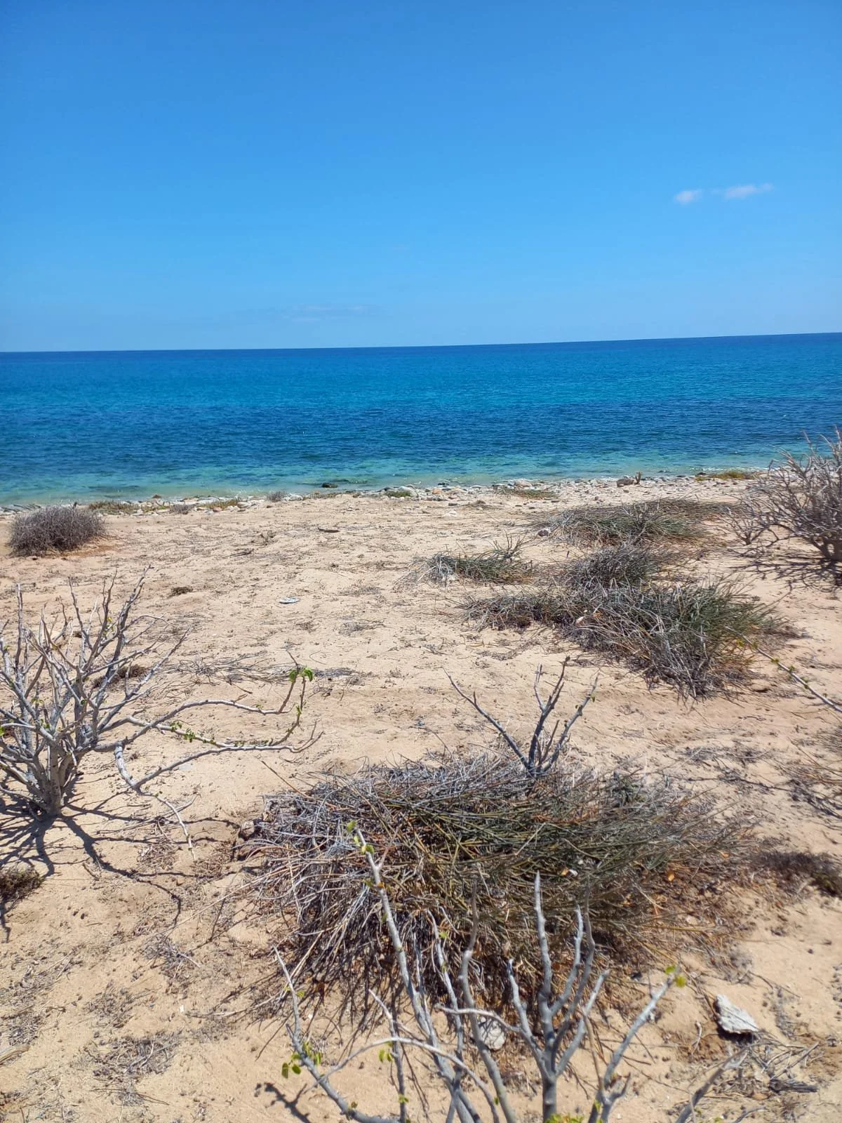 PHOTO-2025-12-04-10-49-00 2.jpg