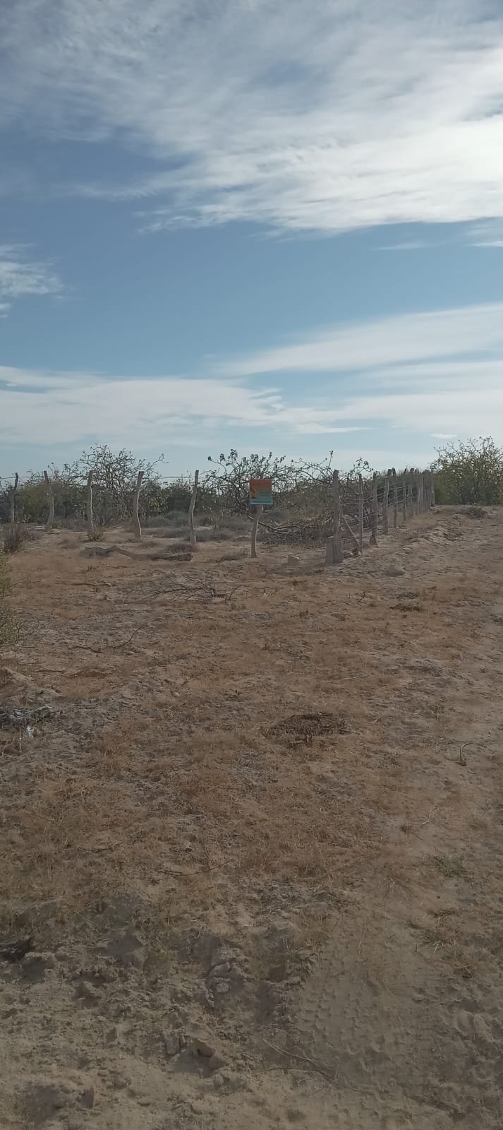 PHOTO-2025-12-04-12-02-14 2.jpg