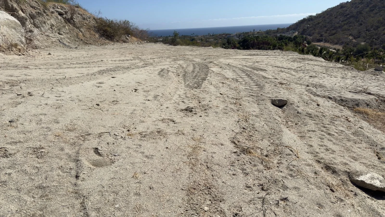 PHOTO-2026-03-09-14-20-20 5.jpg