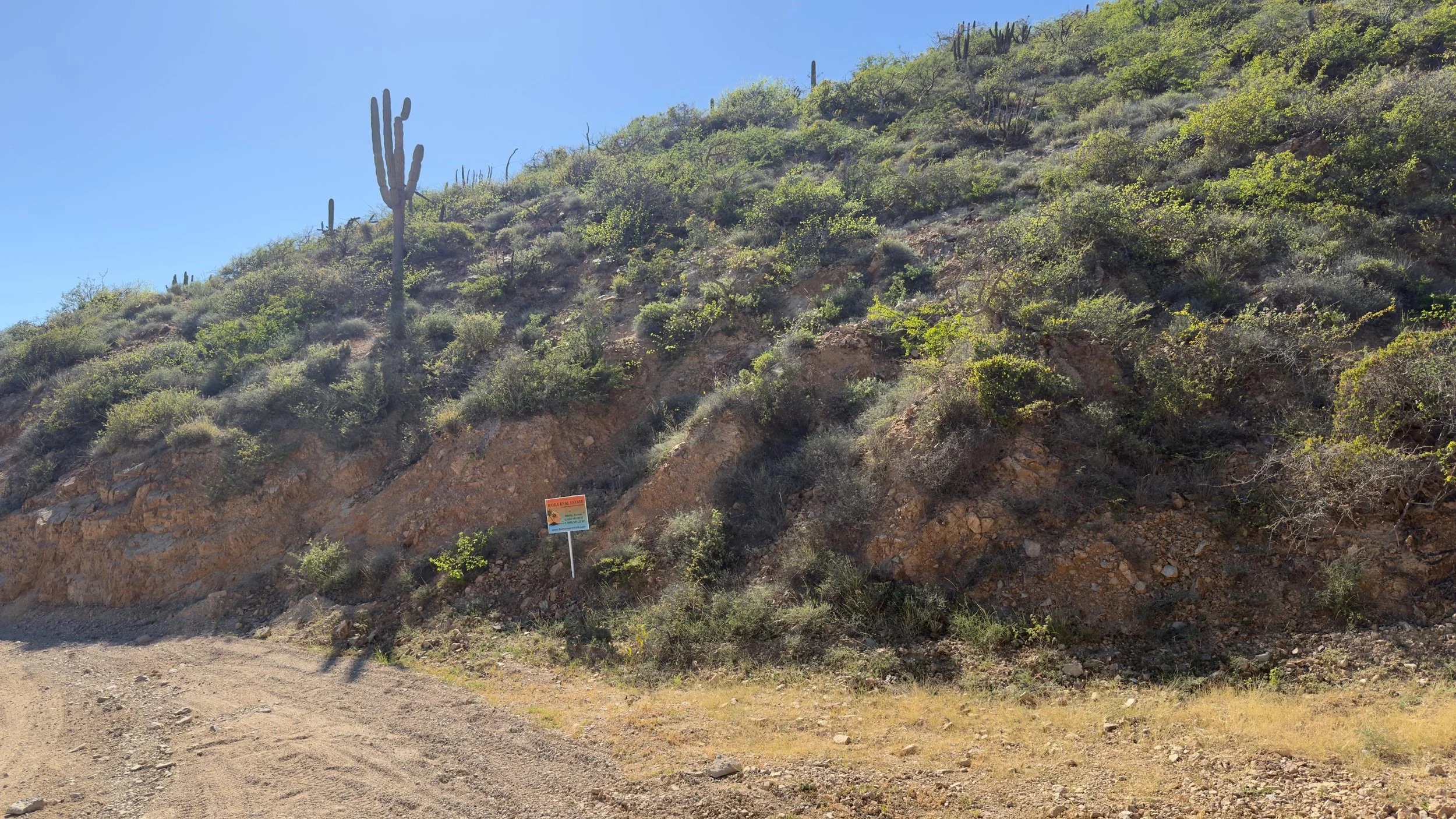 PHOTO-2026-01-10-15-40-21 3.jpg