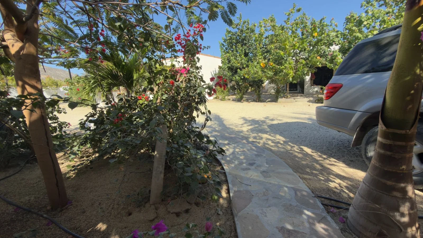 PHOTO-2026-03-09-16-38-23 8.jpg