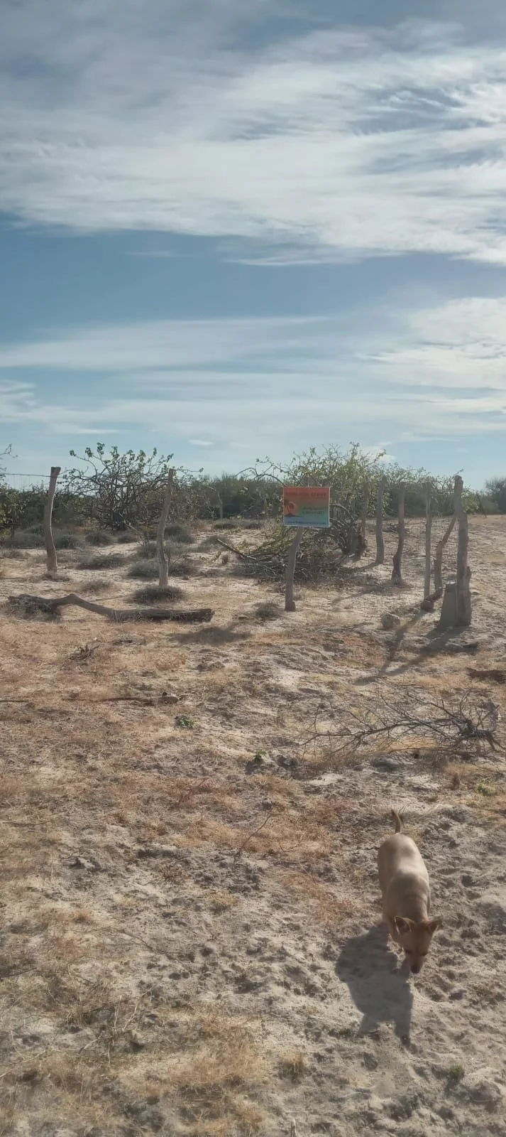 PHOTO-2025-12-04-12-02-14 3.jpg