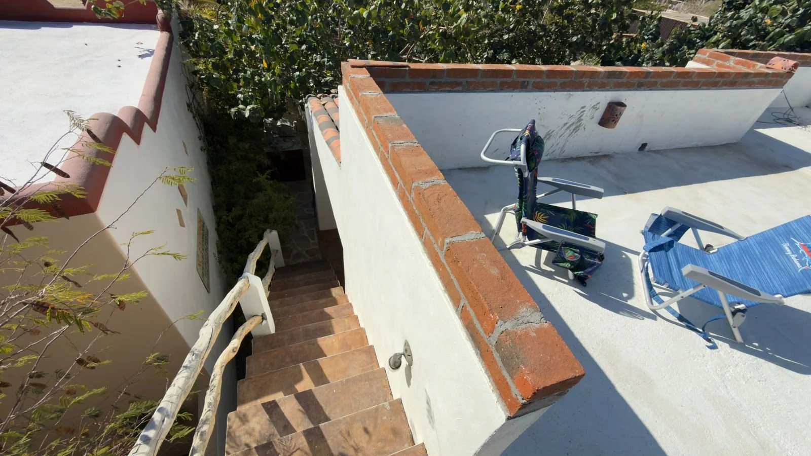 PHOTO-2026-03-09-16-38-22 10.jpg