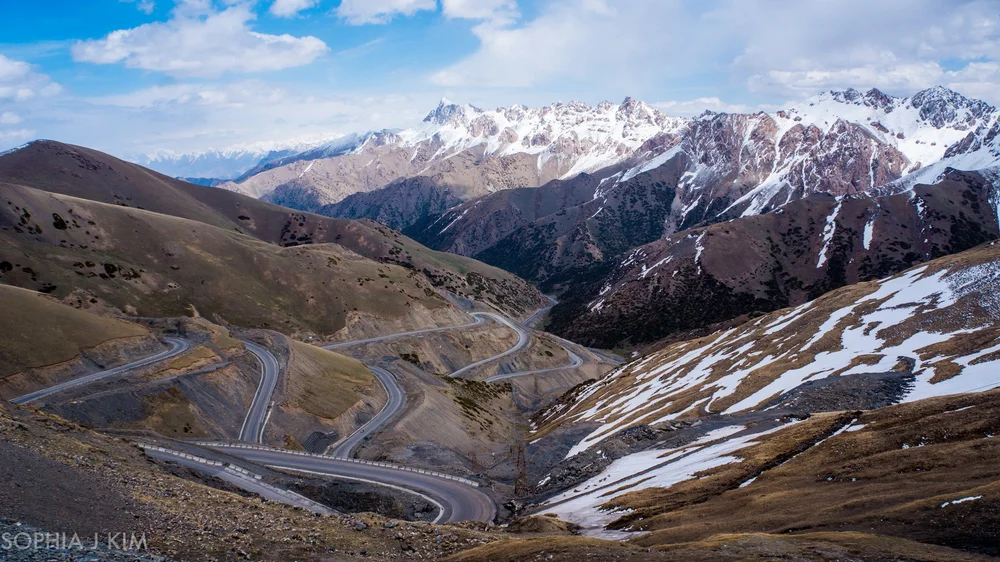 image-asset (36).jpeg