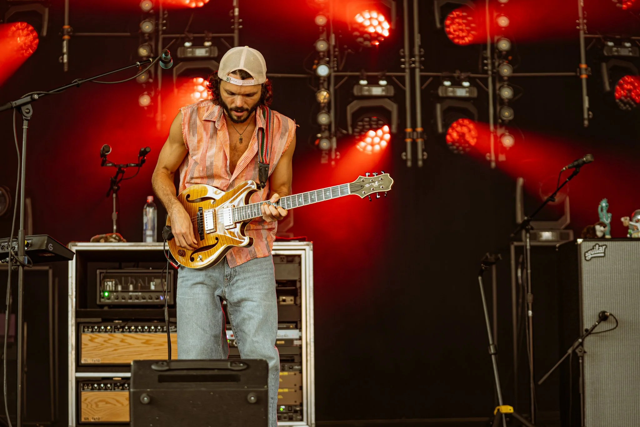 Goose © Alycia Pollock - Sm-23.jpg