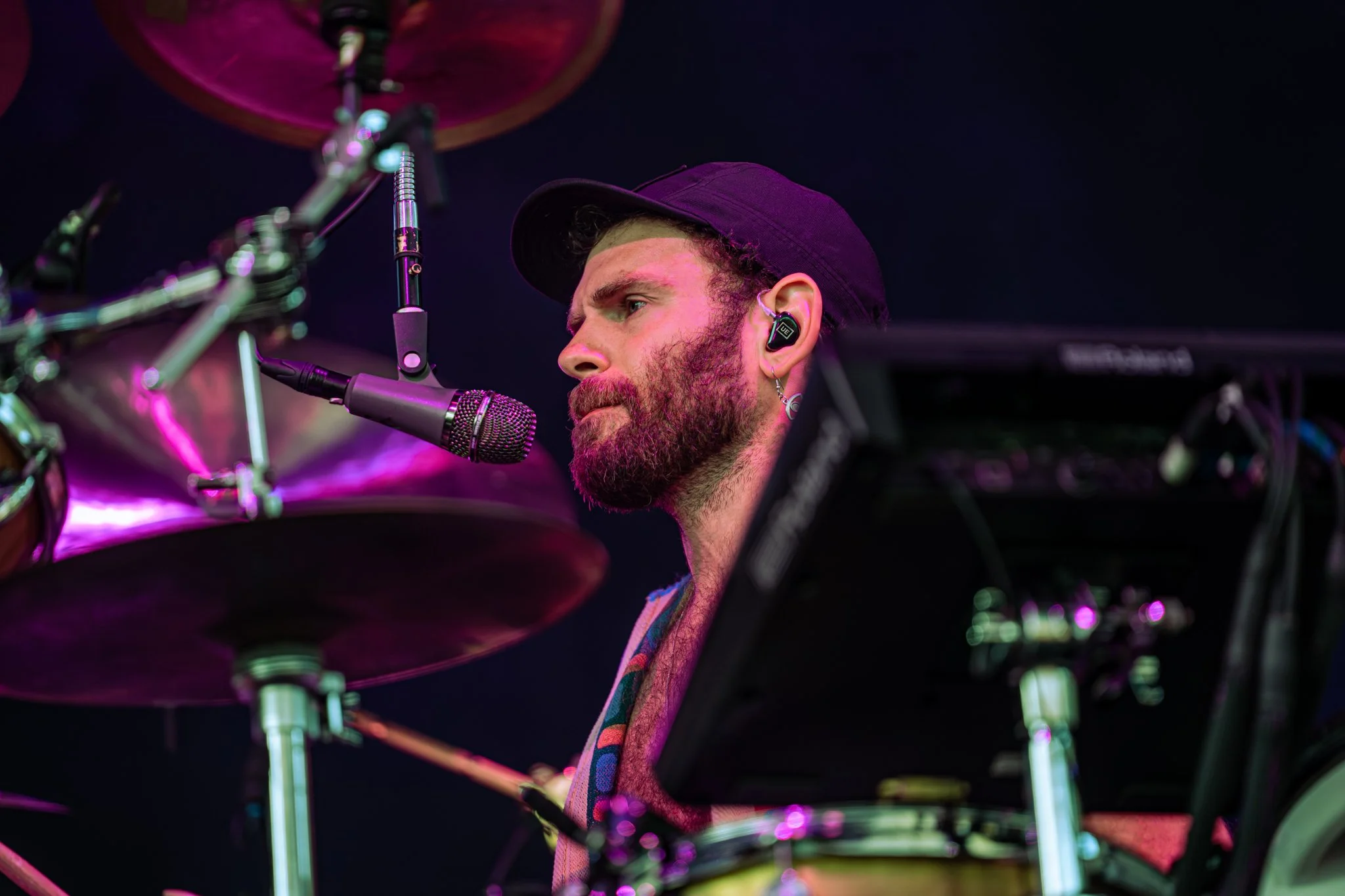 Goose © Alycia Pollock - Sm-30.jpg