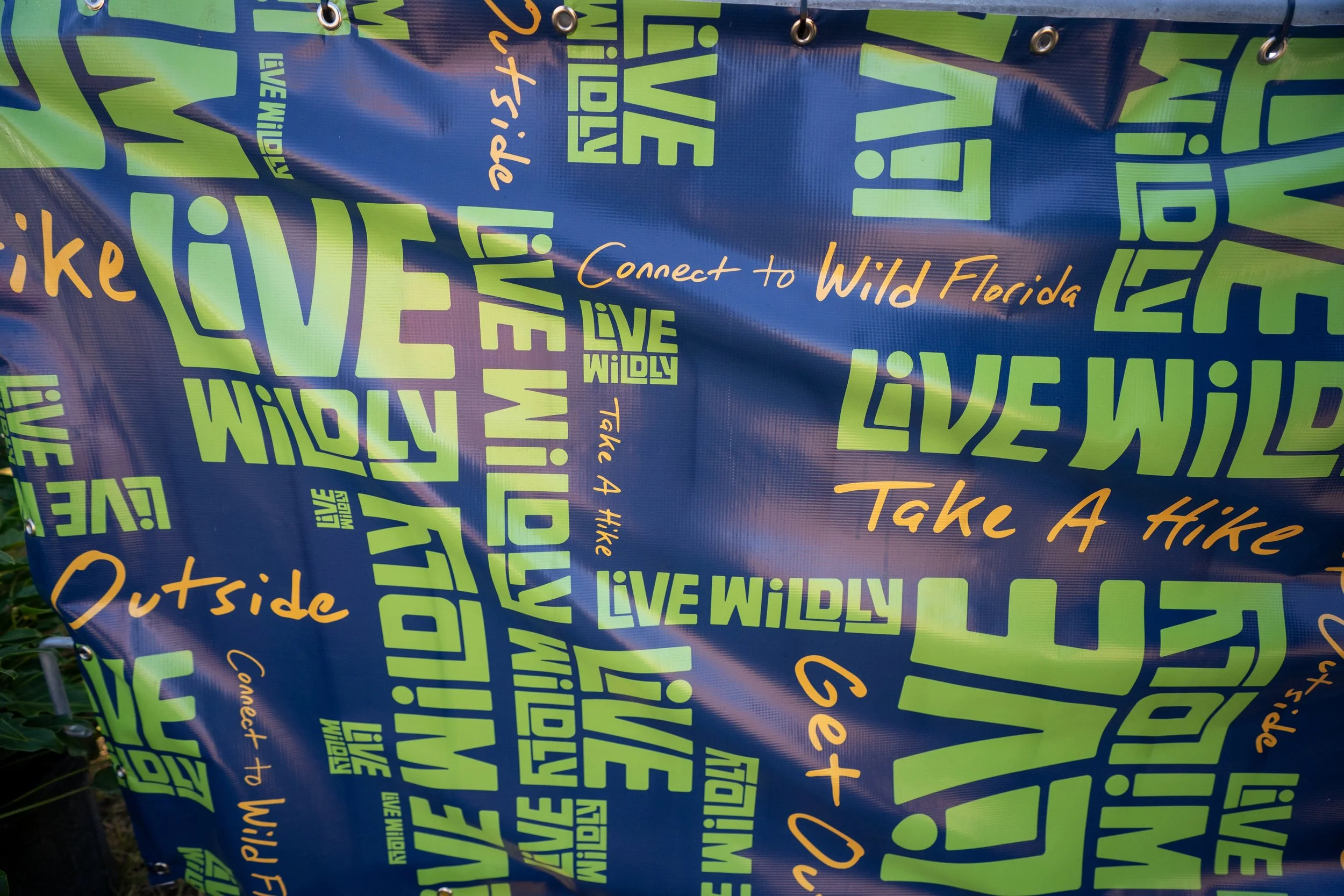 Crowd - Sing Out Loud © Alycia Pollock-03.jpg