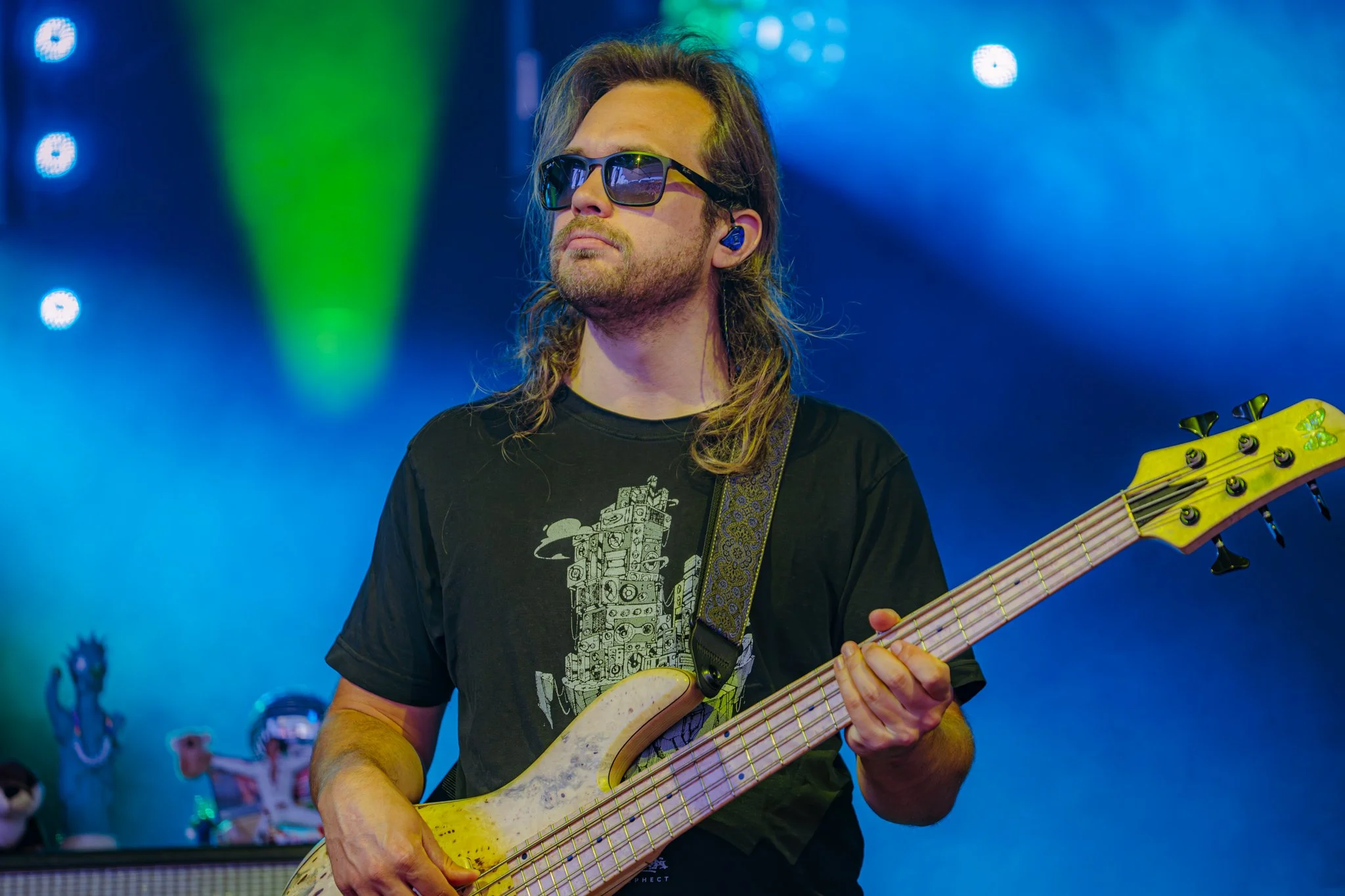 Goose © Alycia Pollock - Sm-08.jpg