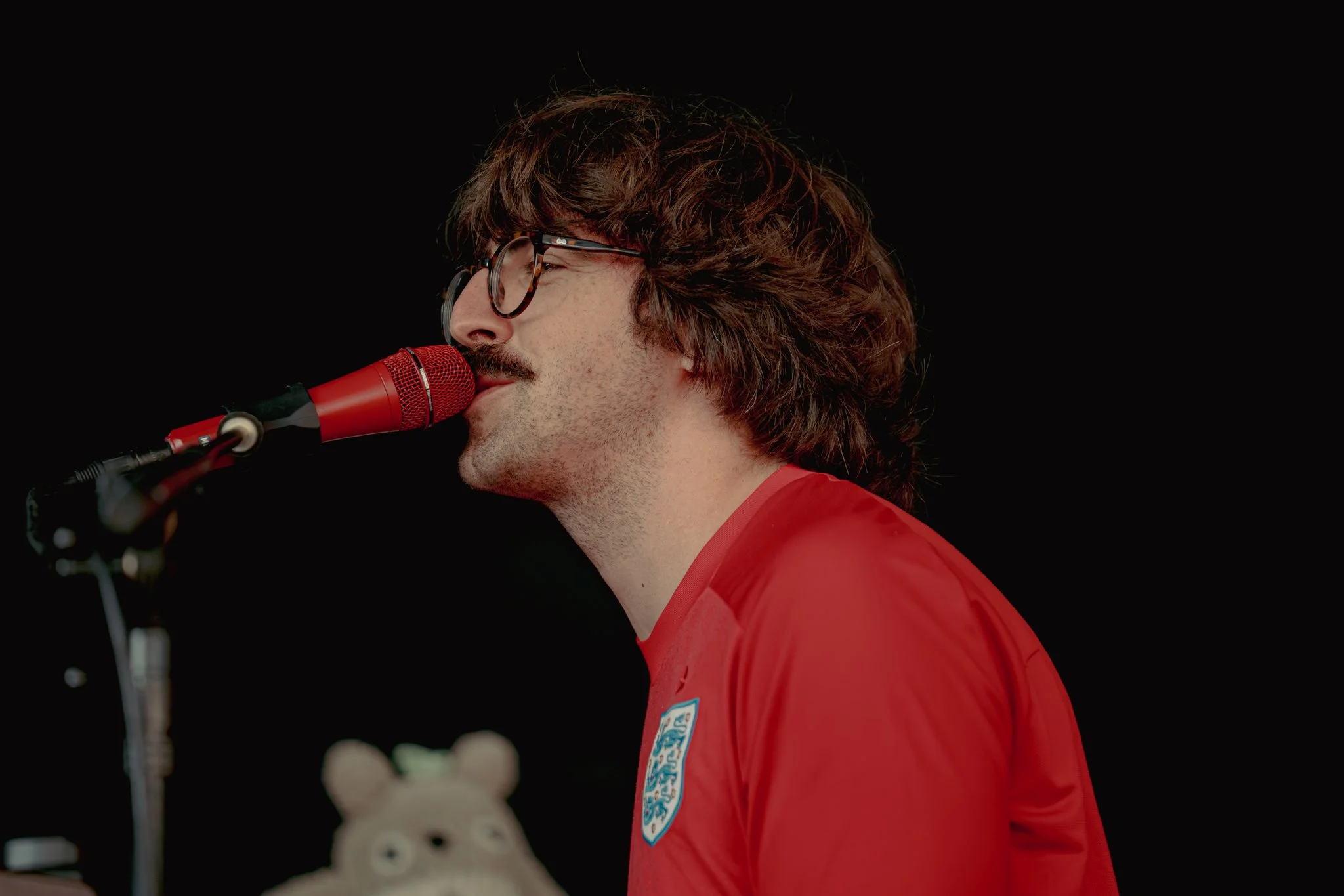 Goose © Alycia Pollock - Sm-05.jpg