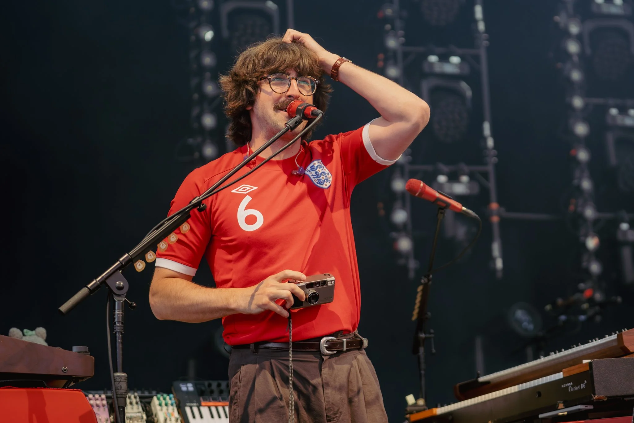 Goose © Alycia Pollock - Sm-02.jpg