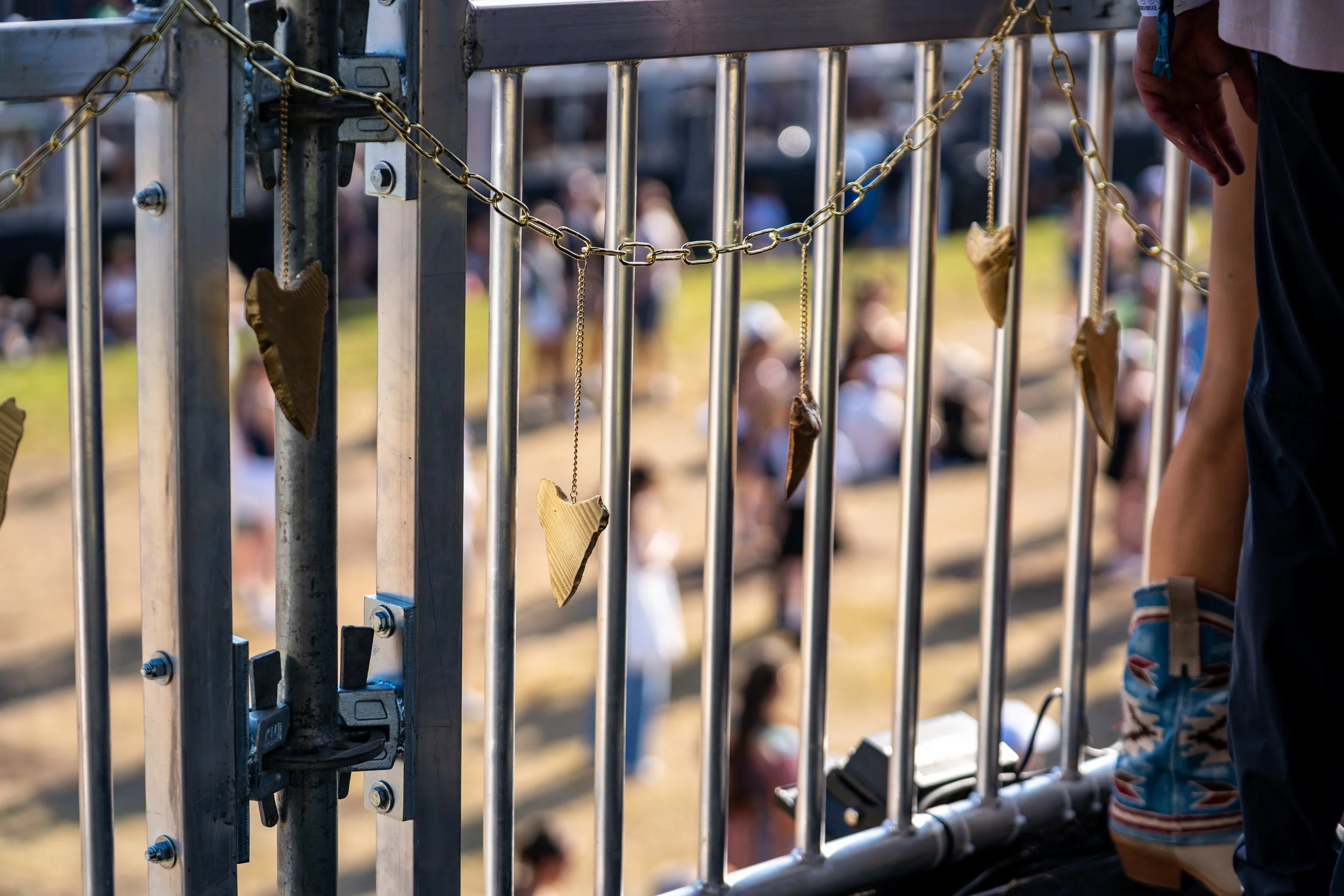 Crowd - Sing Out Loud © Alycia Pollock-08.jpg