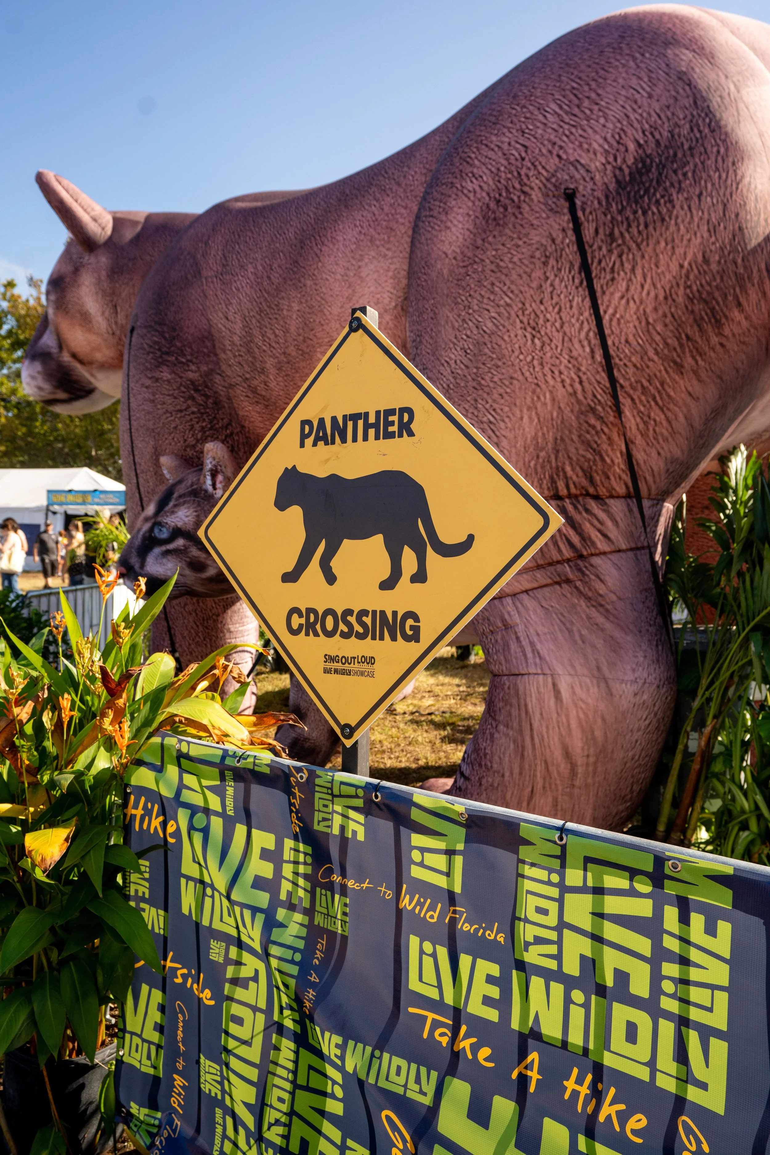 Sing Out Loud 2025 © Alycia Pollock