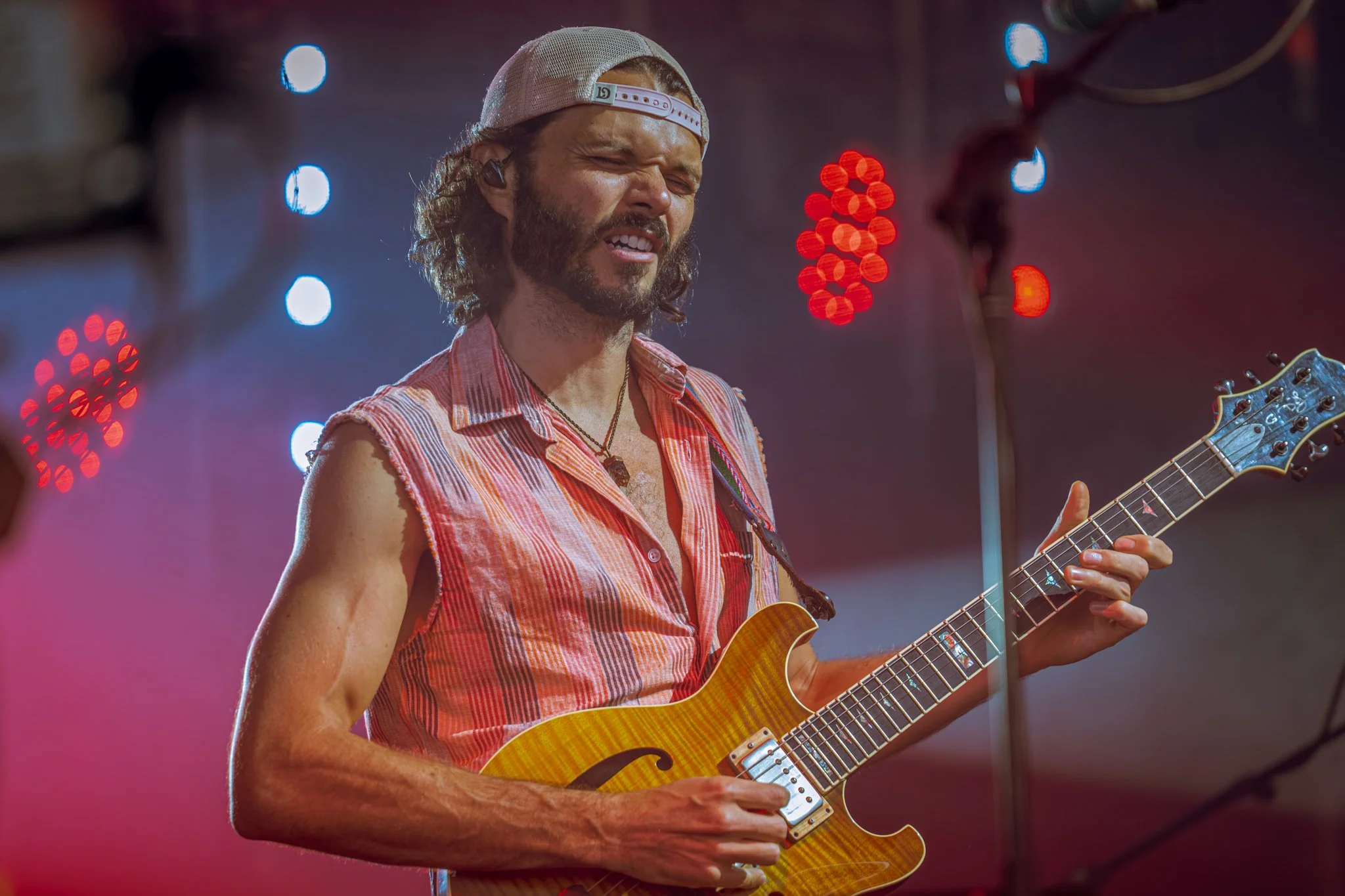 Goose © Alycia Pollock - Sm-11.jpg