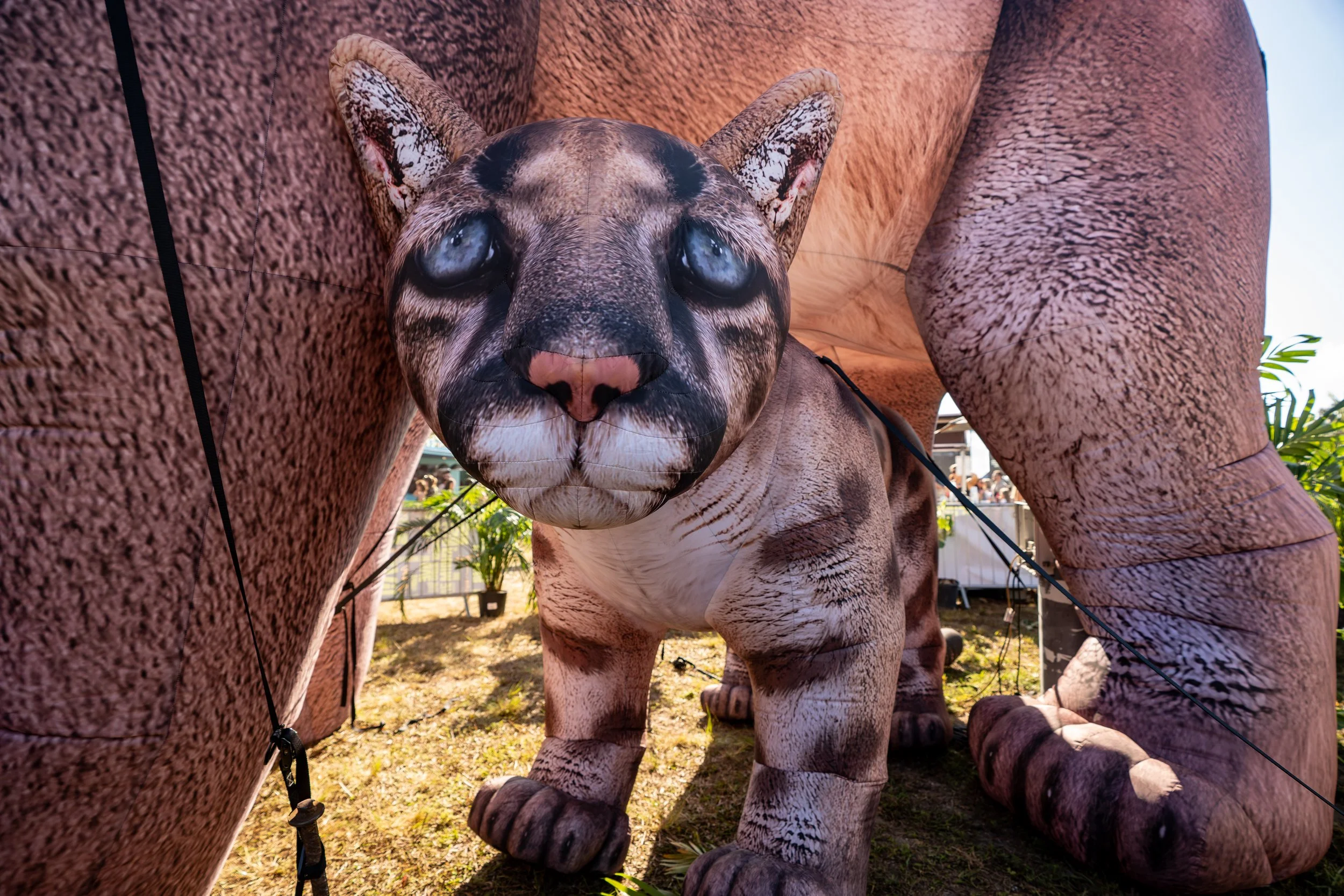 Sing Out Loud 2025 © Alycia Pollock