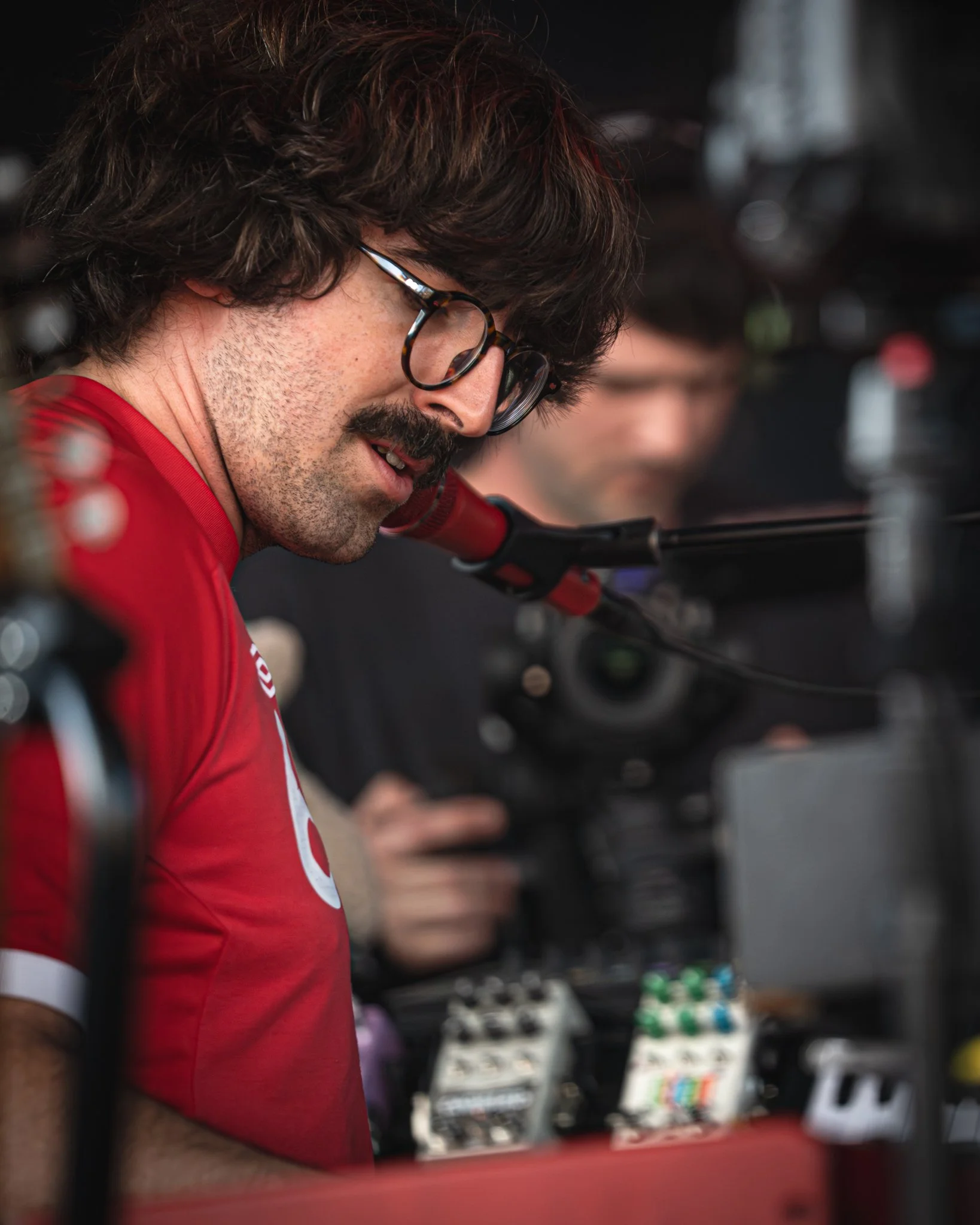 Goose © Alycia Pollock - Sm-20.jpg