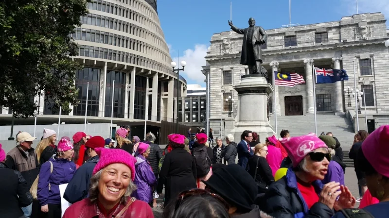 At Parliment getting our protest on.