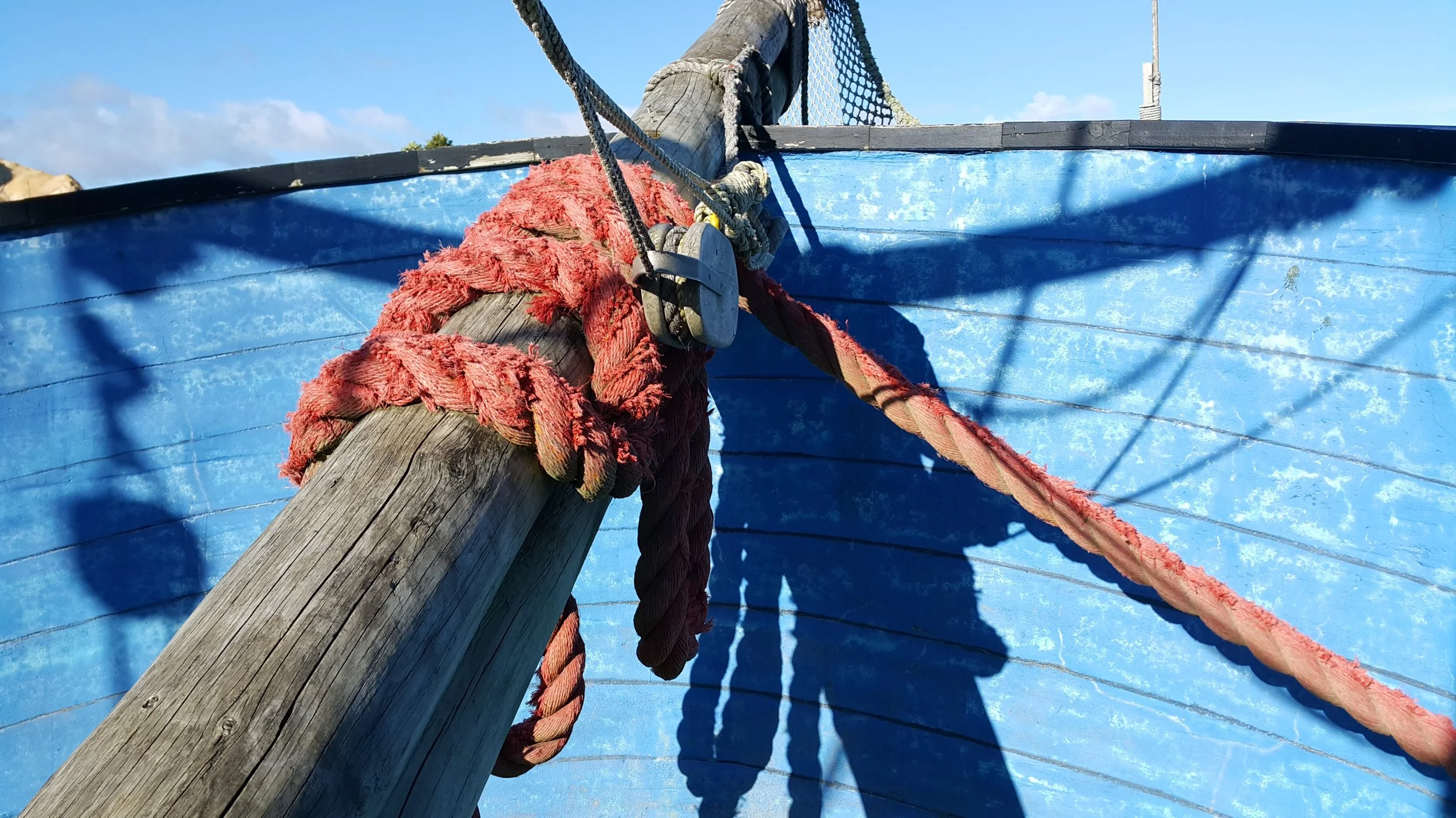 Trailer for Coconuts