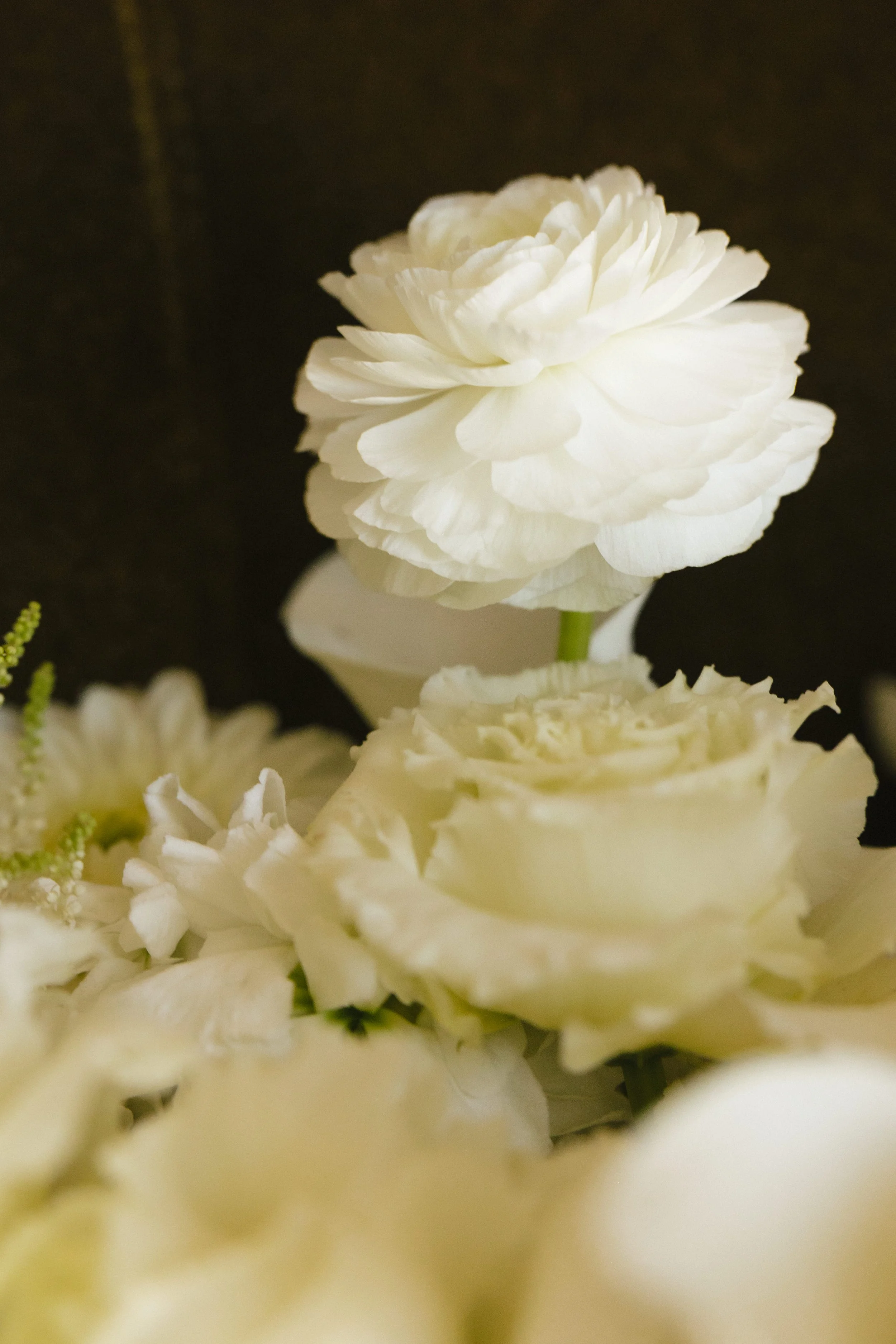 markverawedding-28.jpg