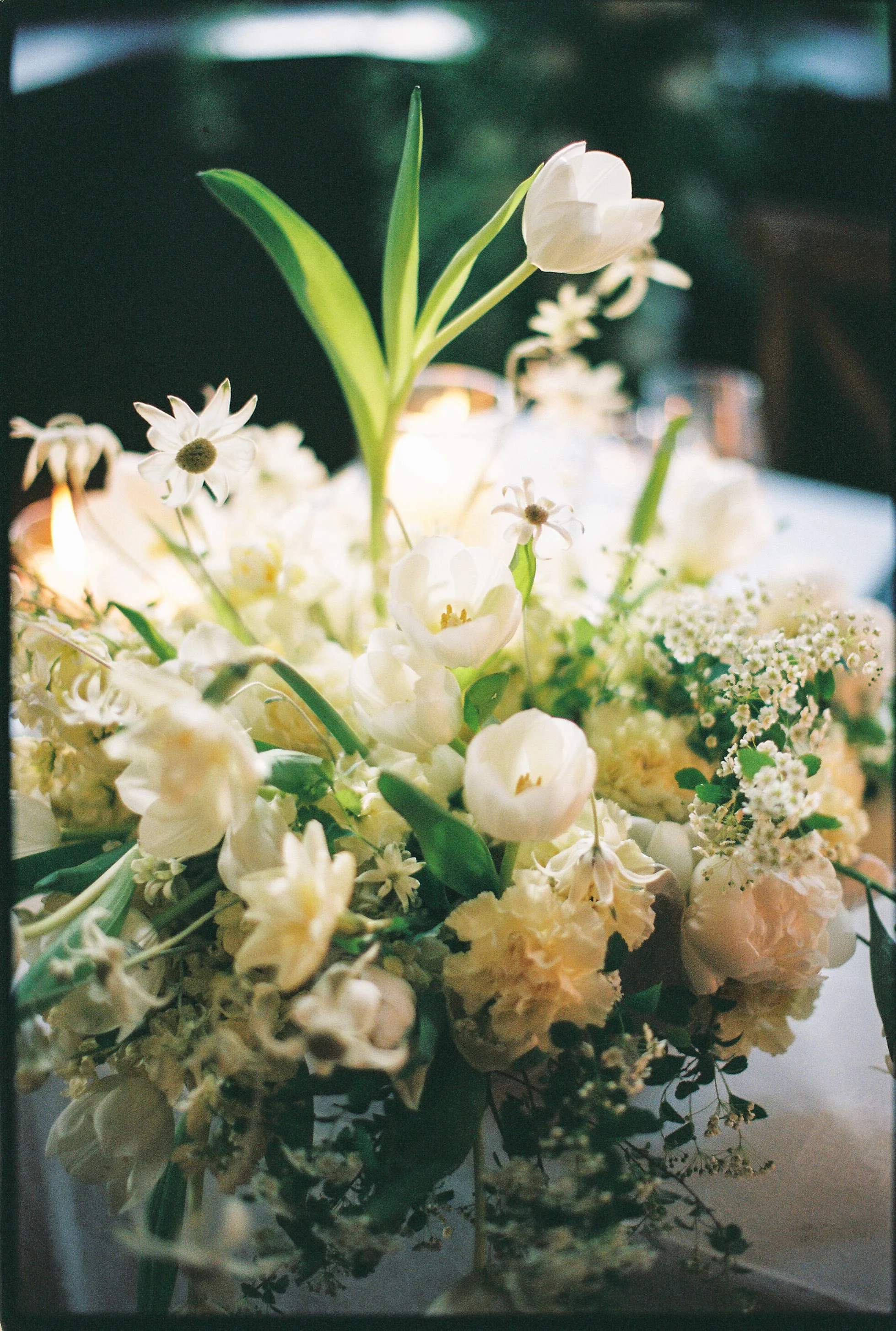 KATENATE4.26.25 - FILM-108 (2).jpg