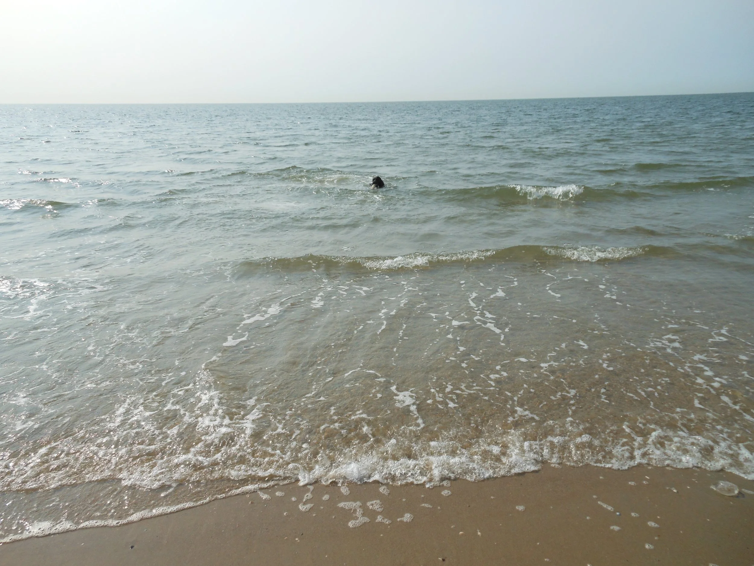 DSCN0368.JPG