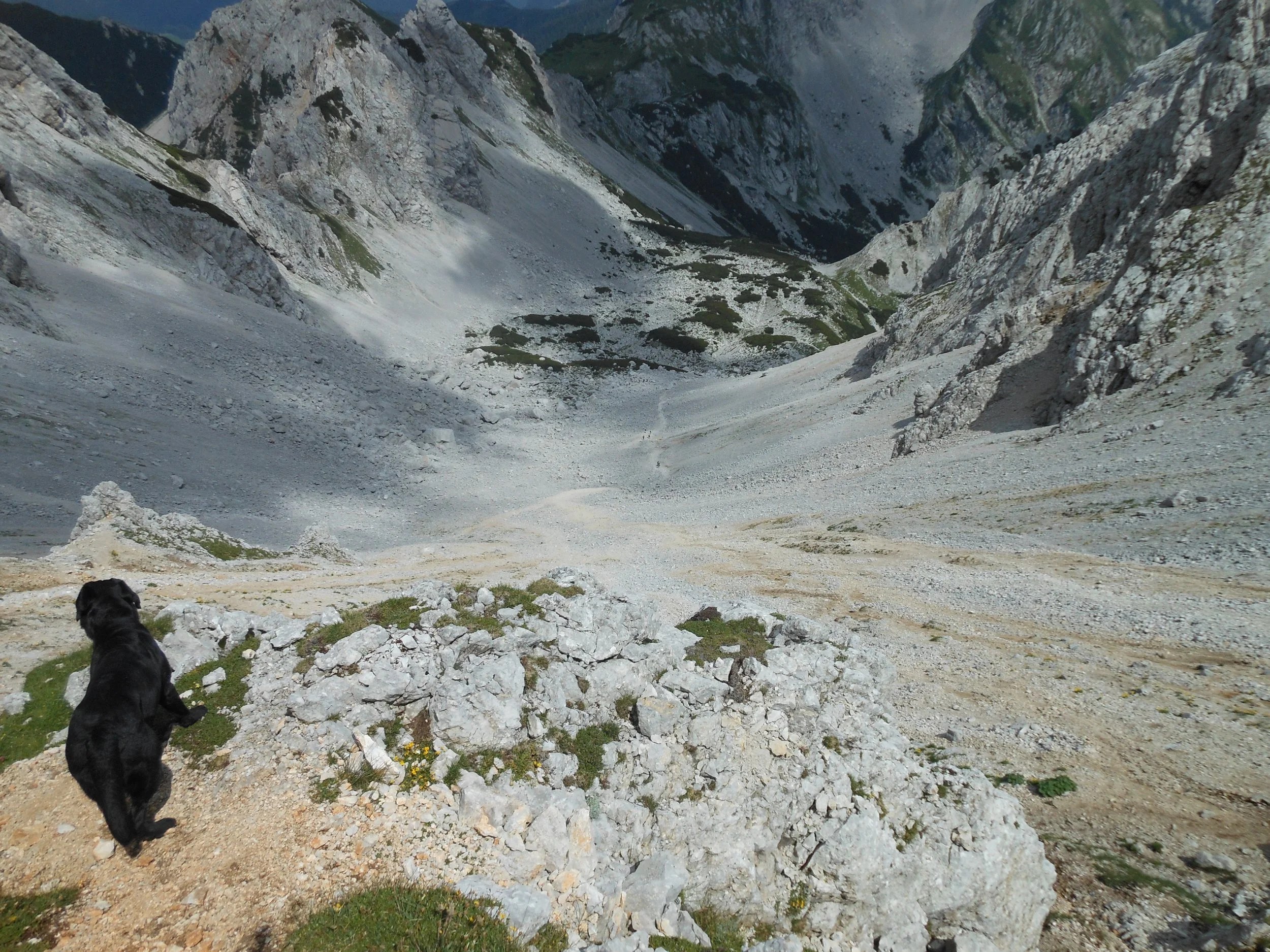 DSCN1170.JPG