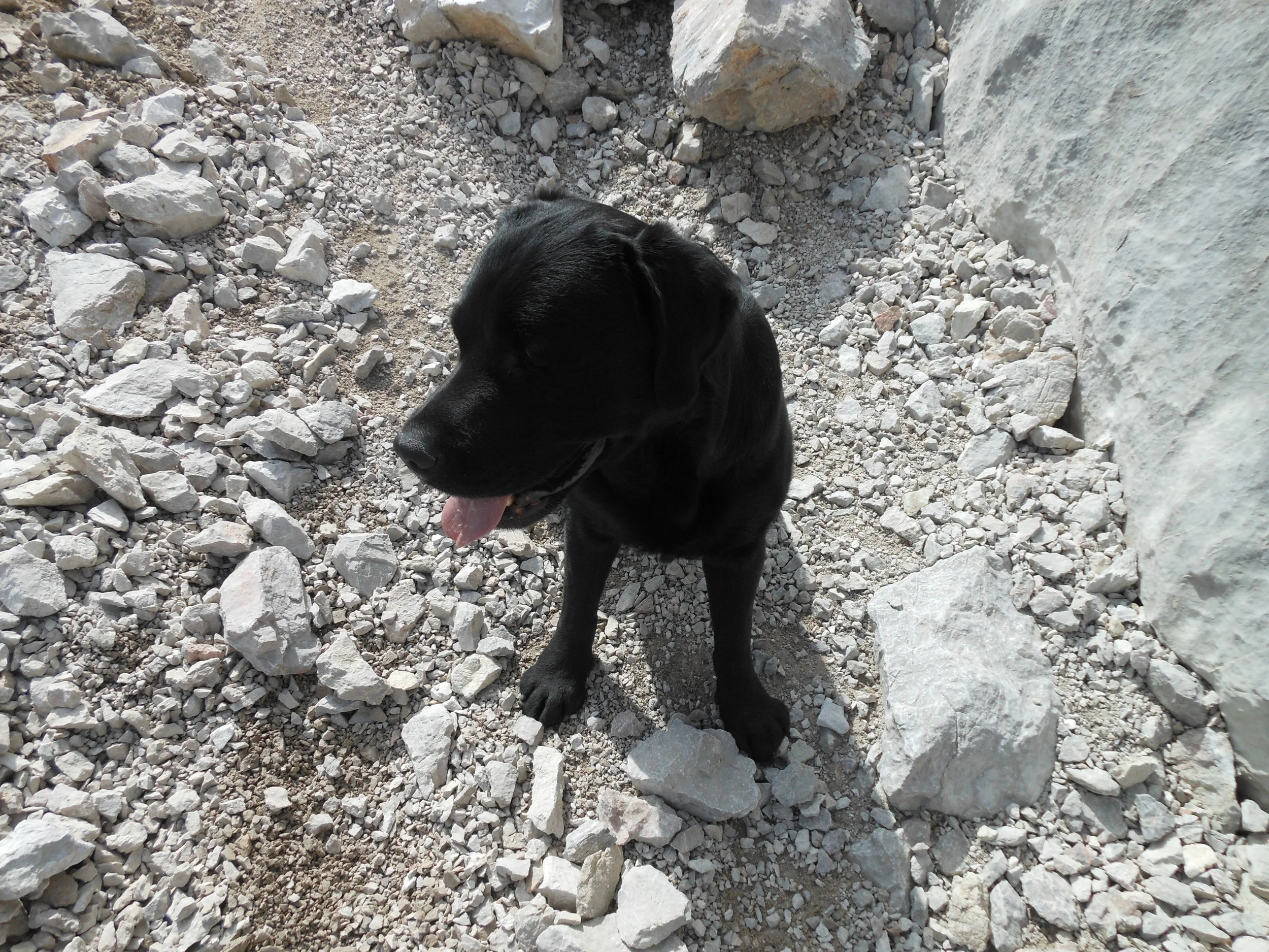 DSCN1172.JPG