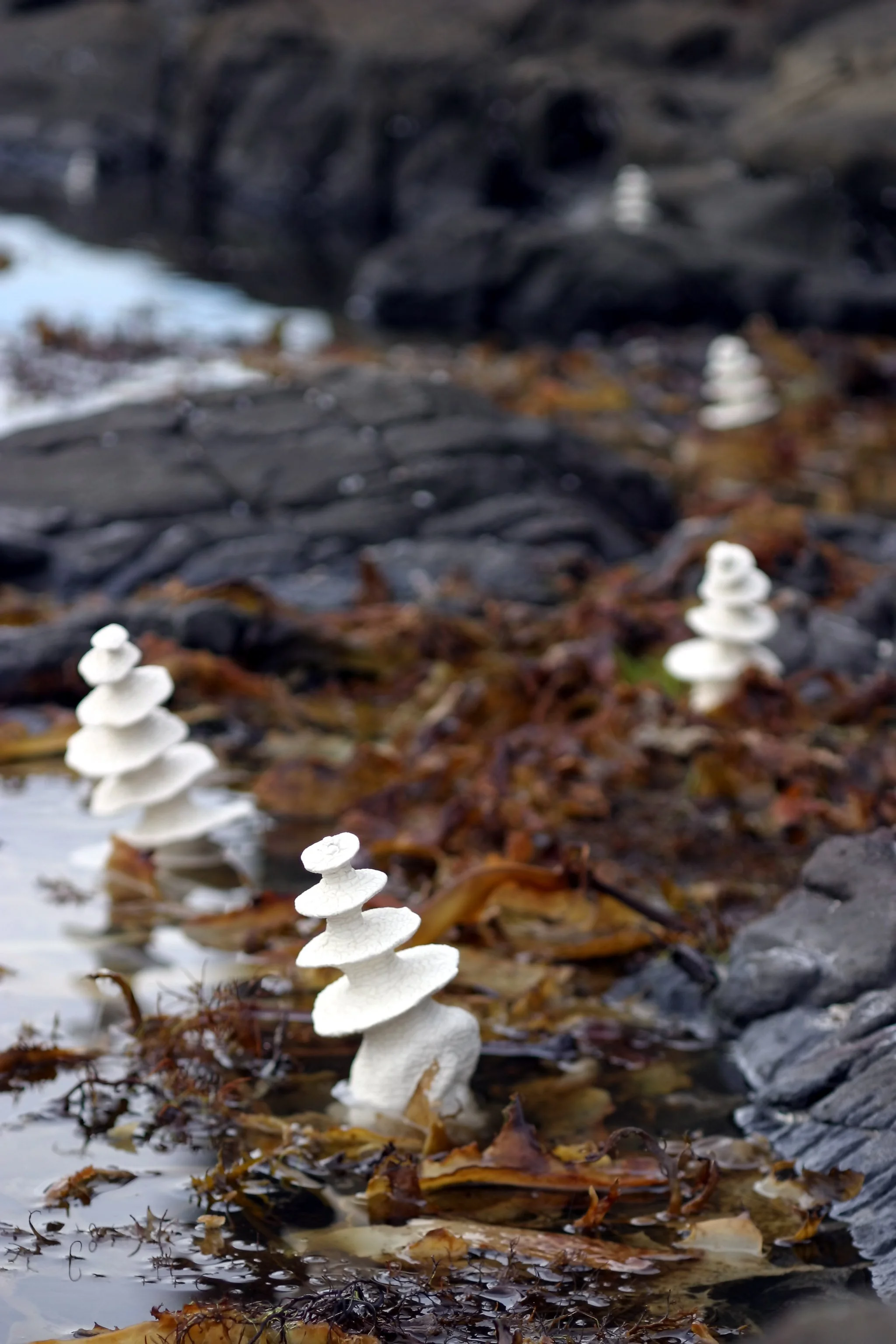 FungusTowers2.jpg