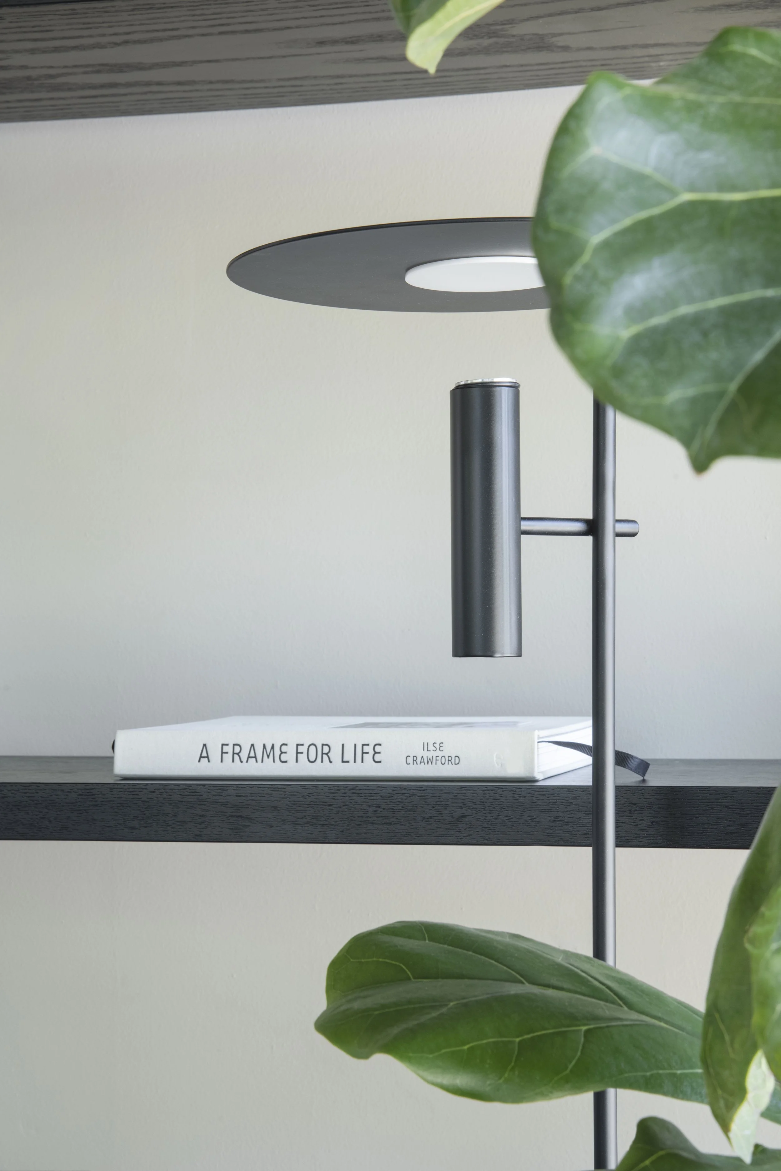 Modern black wall shelf with a book, oval wall light, and large green houseplant leaves