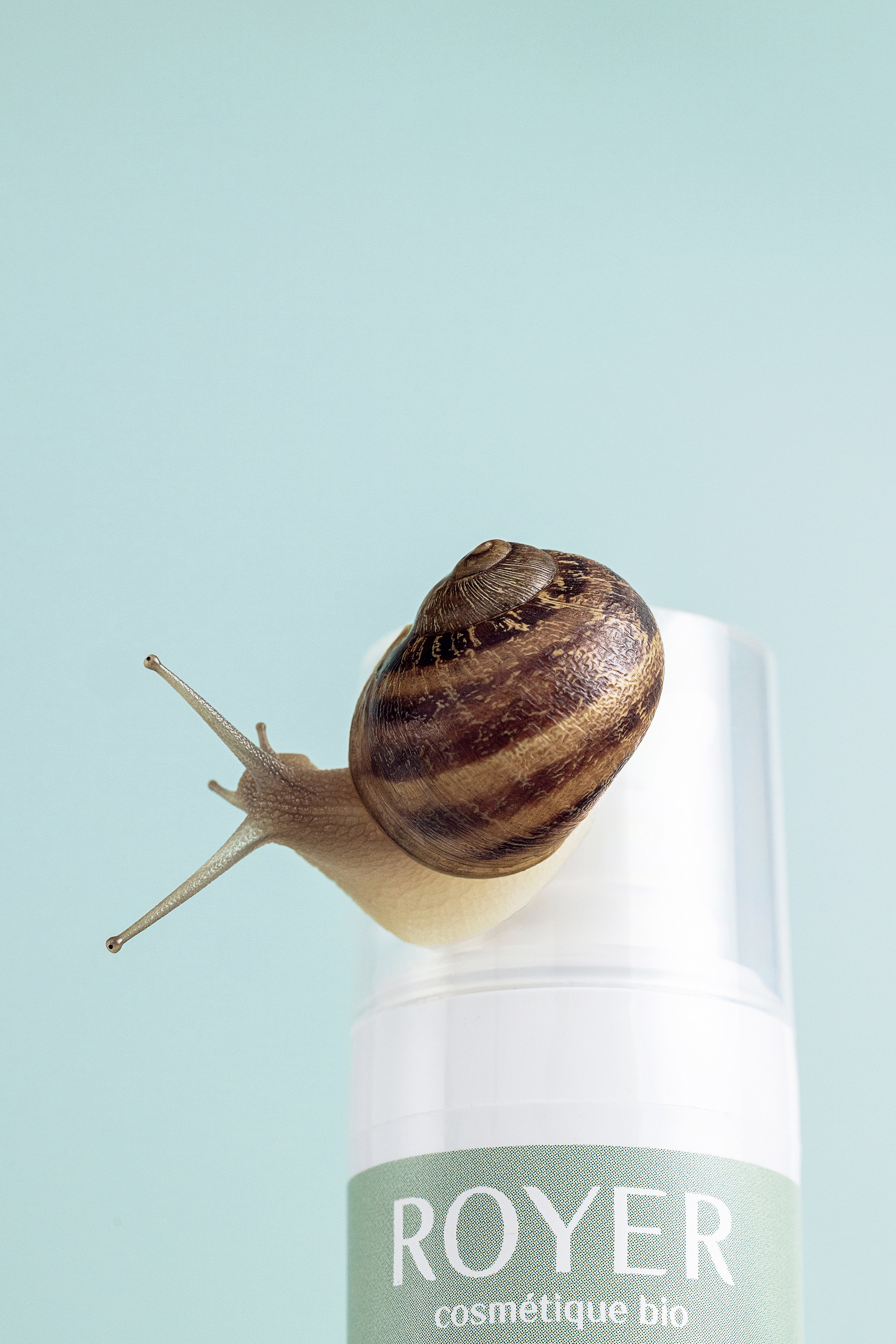 Royer skincare product photographed with a snail against a pale blue background.