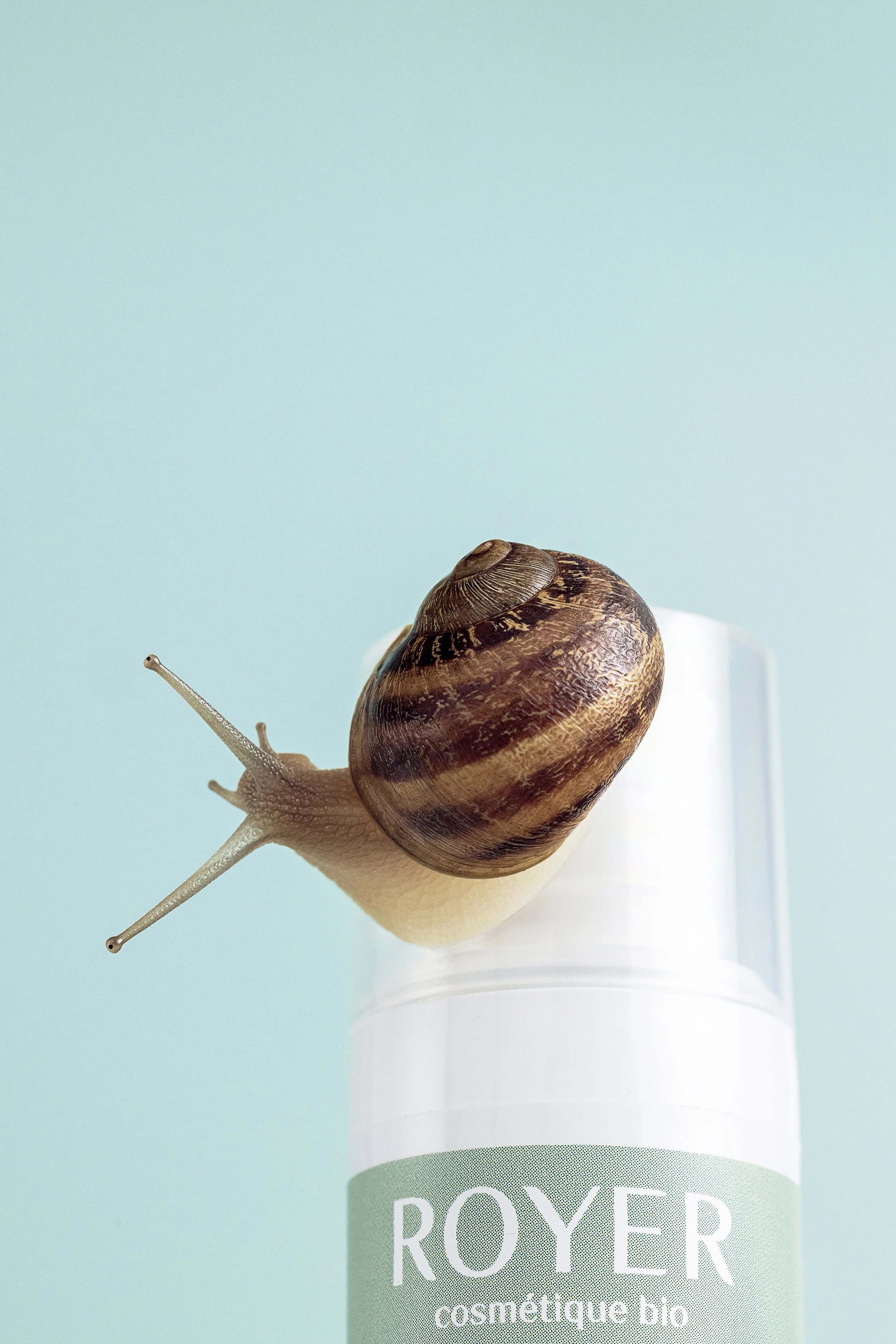 Royer Cosmétique Bio skincare product with a snail on top against a soft blue background.