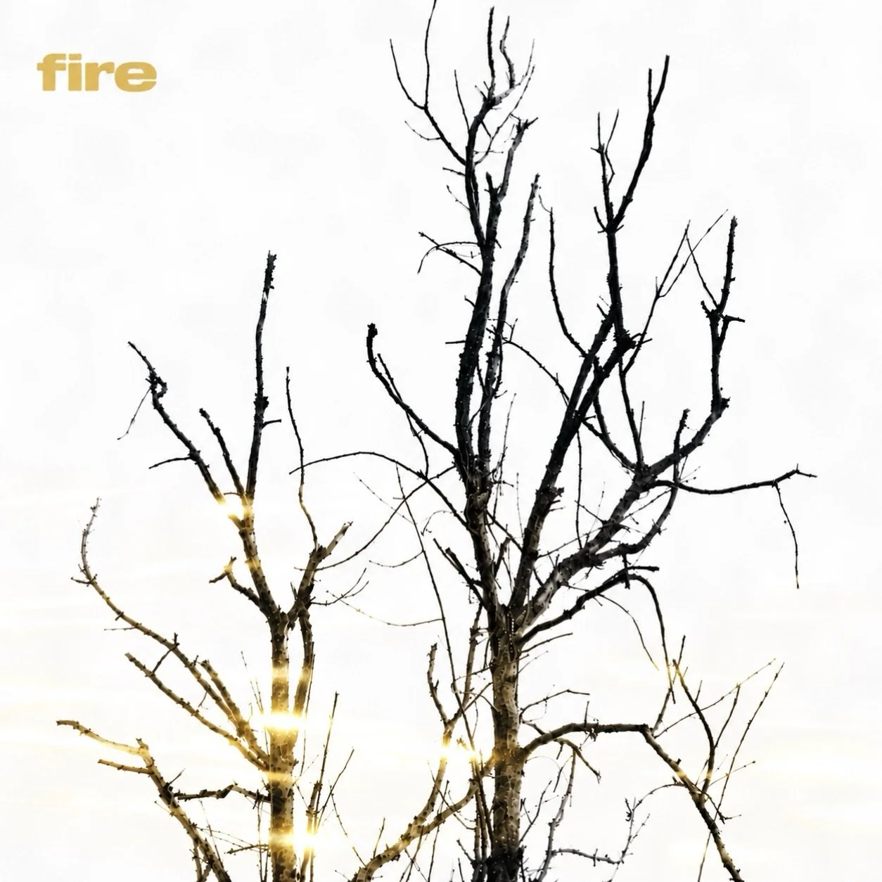 London-hailing The Ariston release ‘Fire’ ahead of hyped debut EP &amp; homecoming show this October