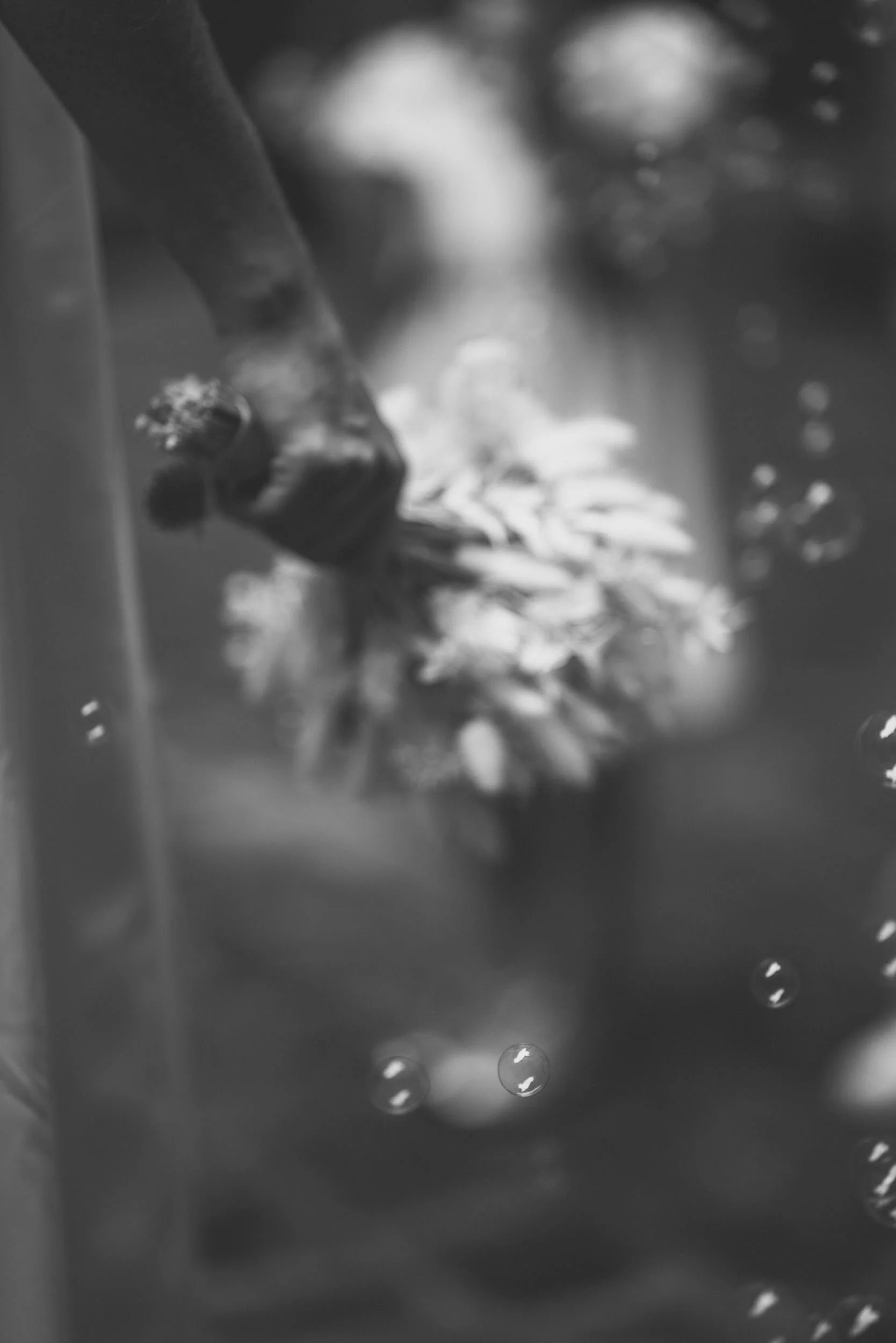 Blumendetail im Vordergrund während der Hochzeit