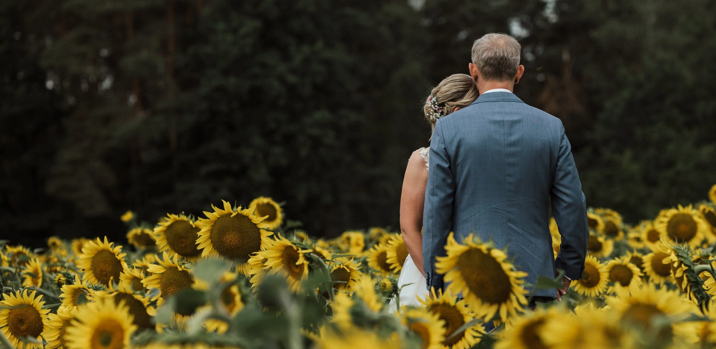 Hochzeitsfotograf Forchheim, Brautpaar von hinten im Sonnenblumenfeld bei einer Hochzeitsreportage
