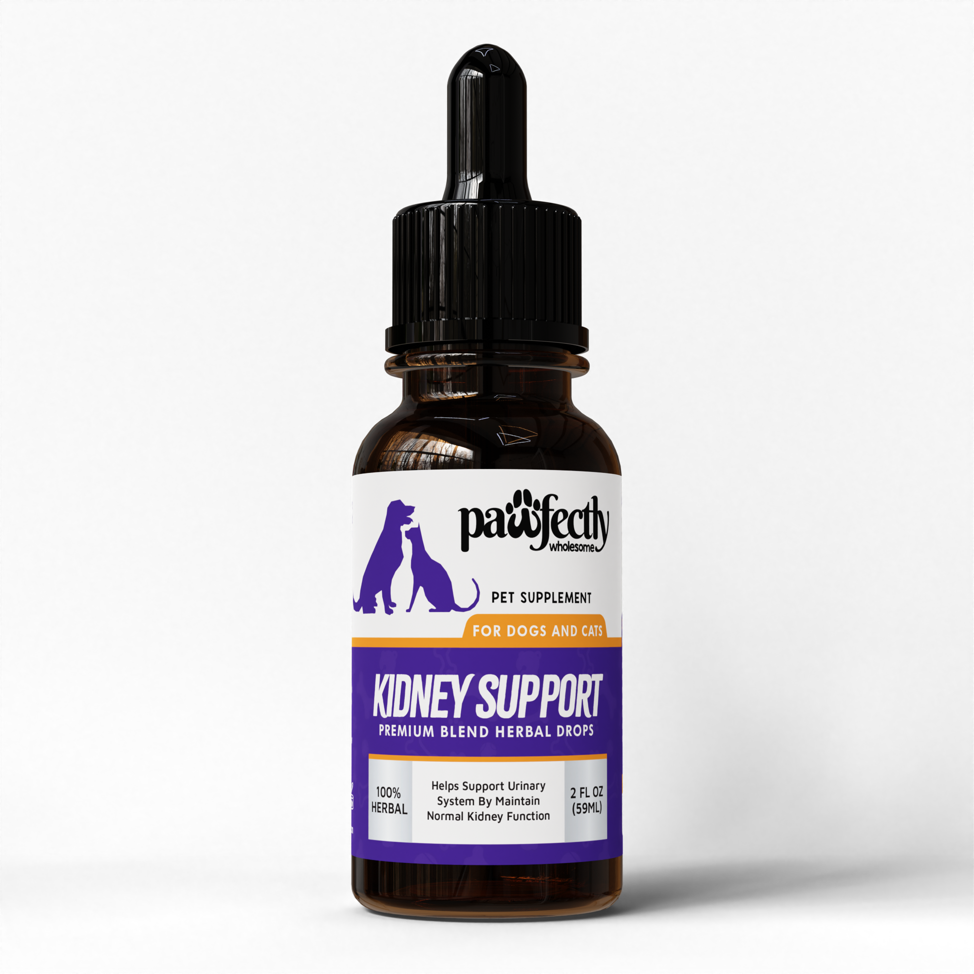 C 3 Kidney Support.png