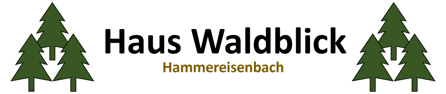 waldblick-hammereisenbach.com