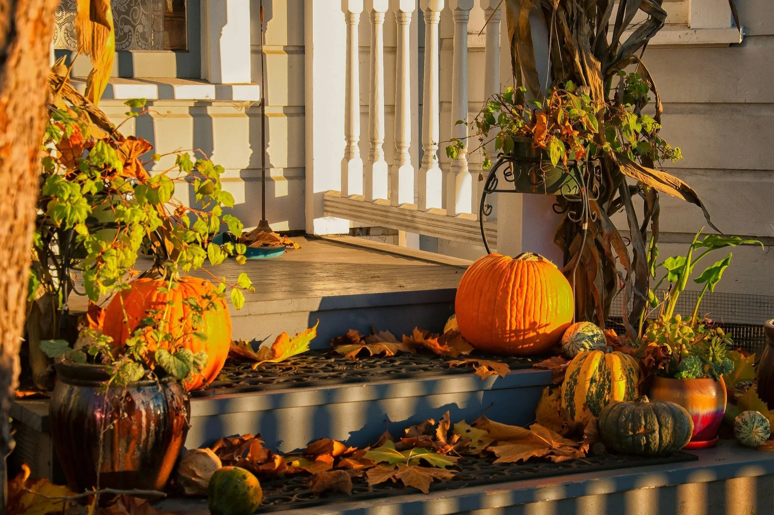 Fall Home Maintenance &amp; Storm Preparedness