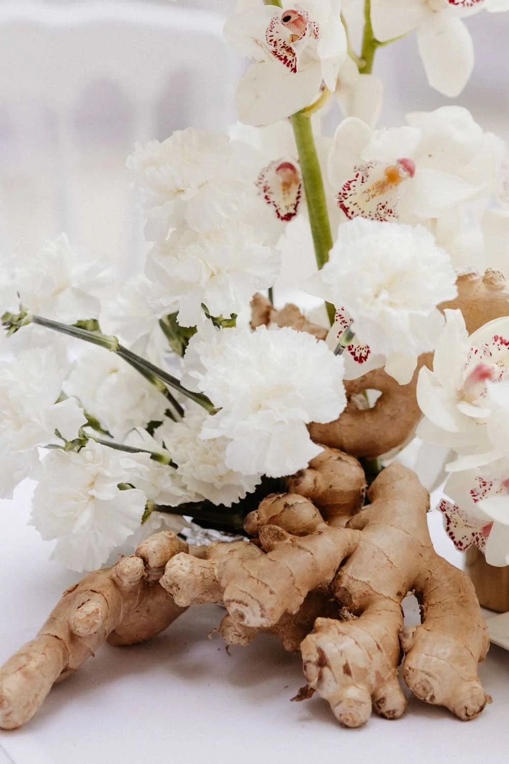 Fleurs blanches d'orchidée avec un morceau de racine de gingembre dans un vase.