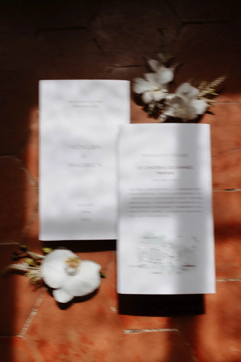 Deux documents imprimés posés sur un sol en terre cuite, avec des fleurs blanches séchées à côté.