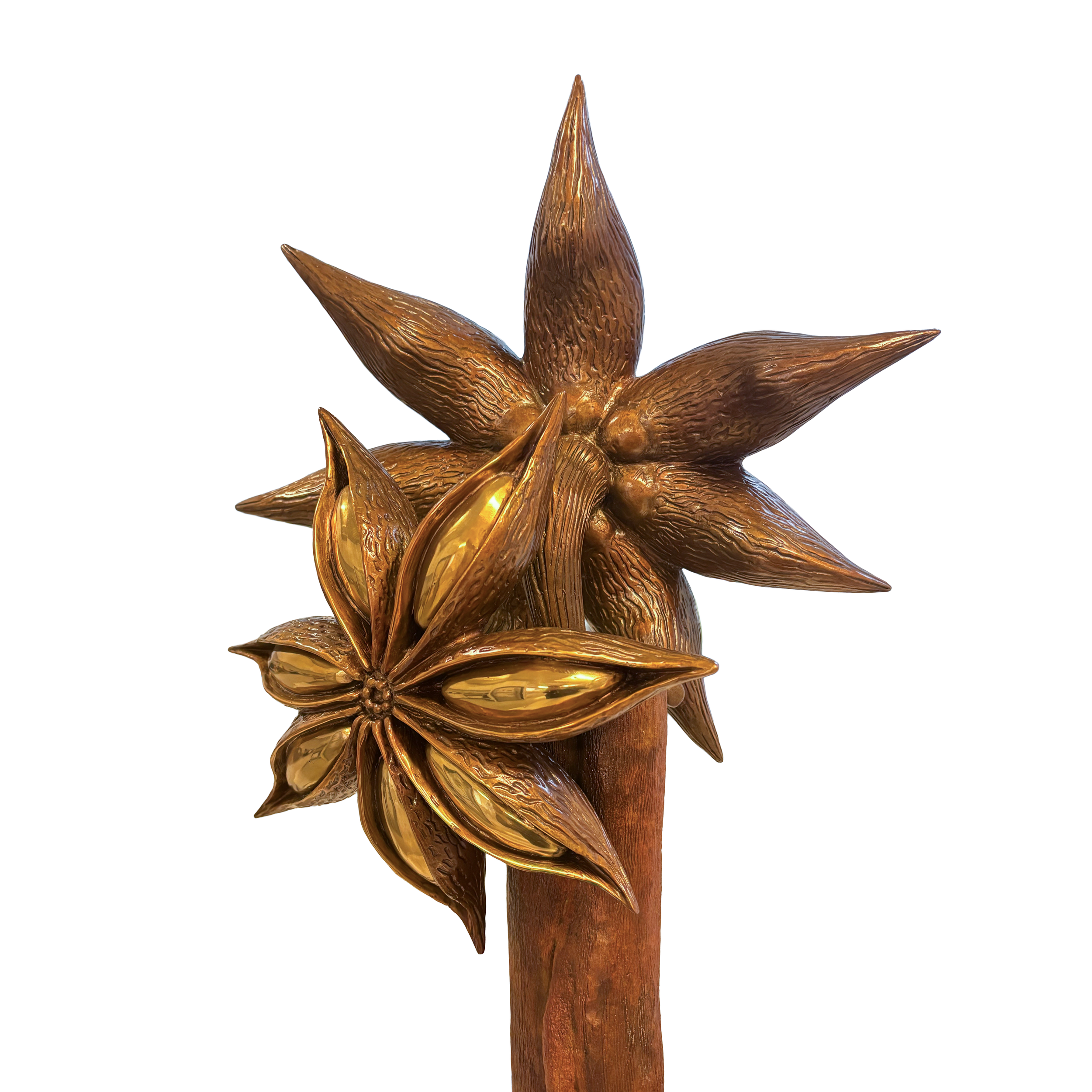 Bouquet 5 (angle3).png
