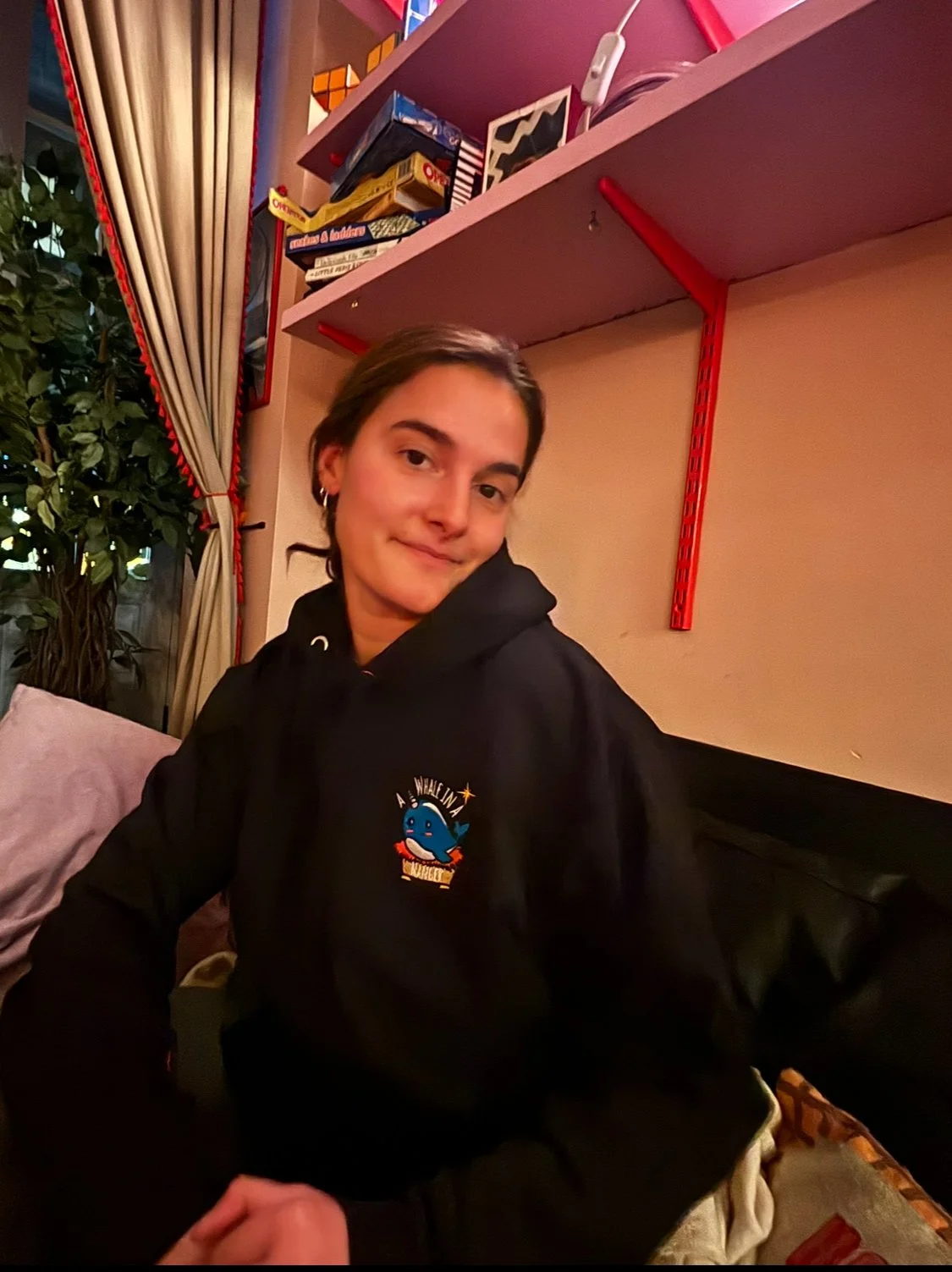 A WHALE IN A MANGER Unisex Hoodie