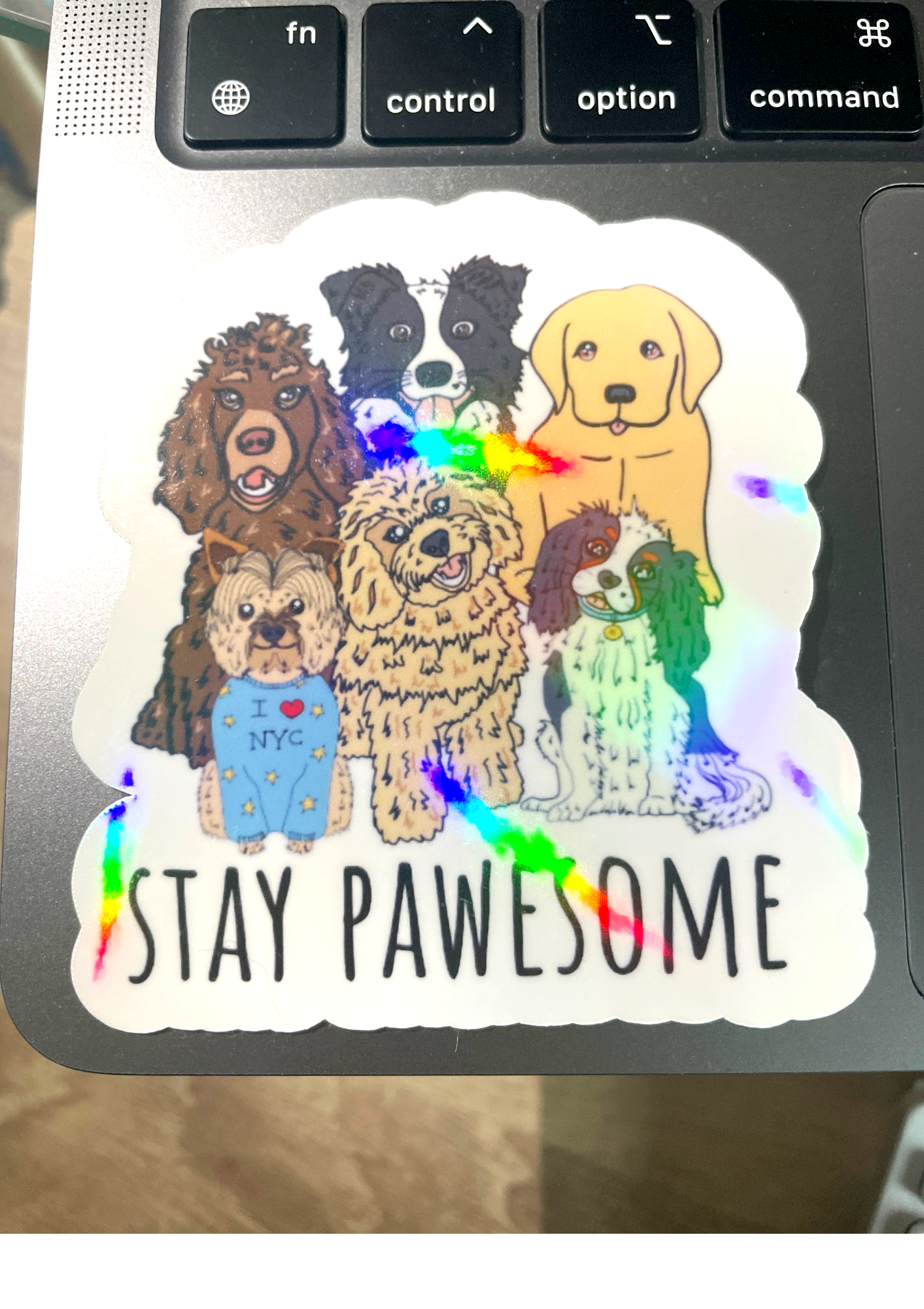 stay+pawesome+2.png