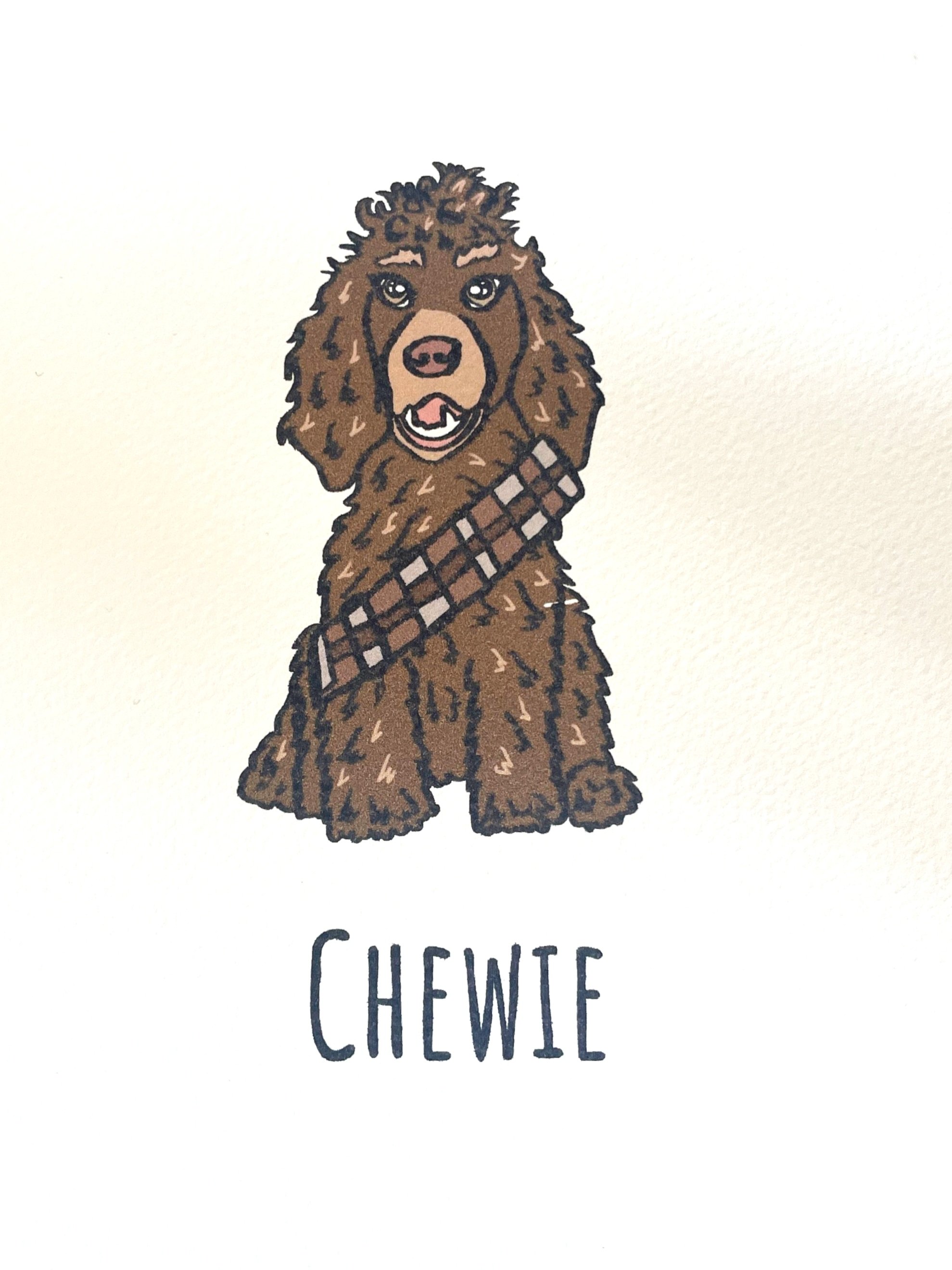 chewie.jpg