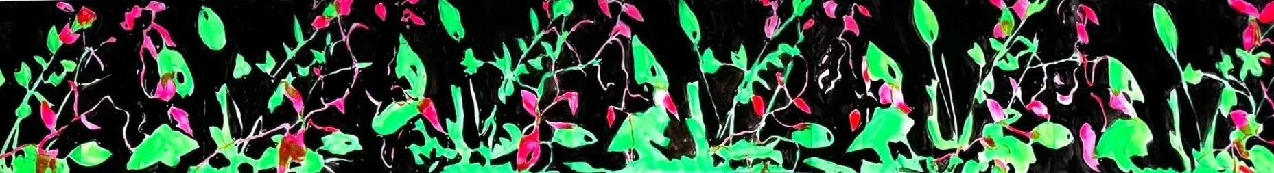 Experiment in direct plant animation. Produced during a SOMA artist residency October 2025 Mexico City