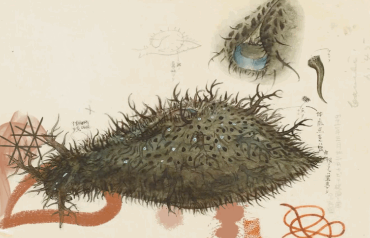 Nicole Antebi PDR Intervention Line.GIF