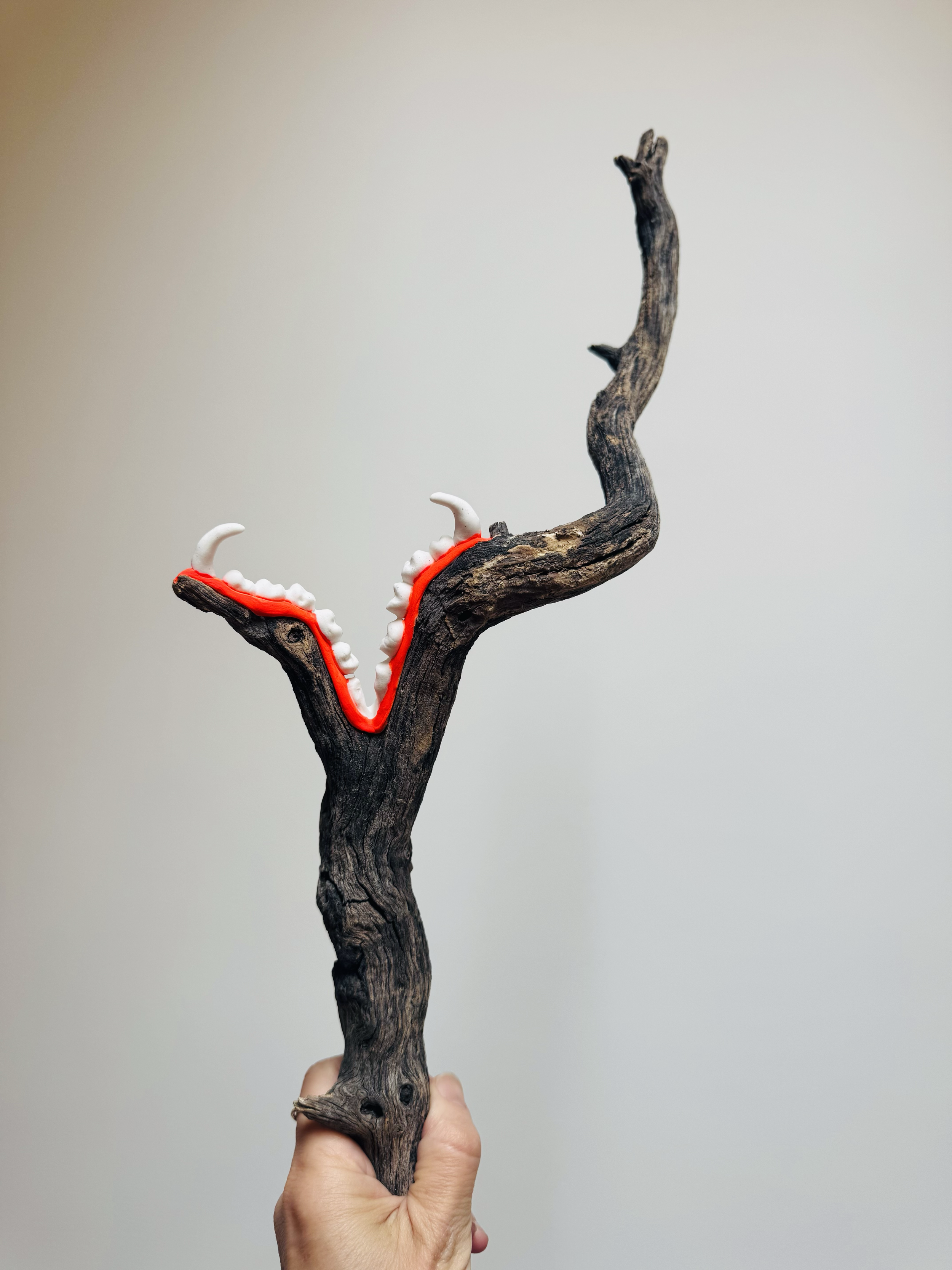 Over Story Sculpture made with found Cottonwood from the San Rafael Valley, on the border of Arizona/Sonora