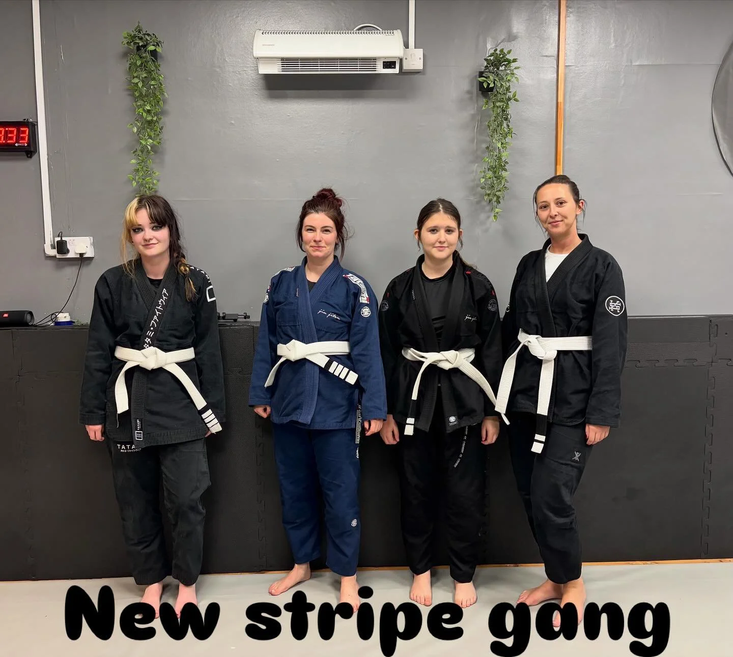 Well done to, from left to right. Amelia (3rd stripe) Natalie (3rd stripe) Millie (1st stripe) and Shona (1st stripe)
Keep up the good work ladies 

#mauriciogomeslegacy #wombournelegacybjj #braulioestimablackbelt #jiujitsu #bjj #womensbjj #selfdefen