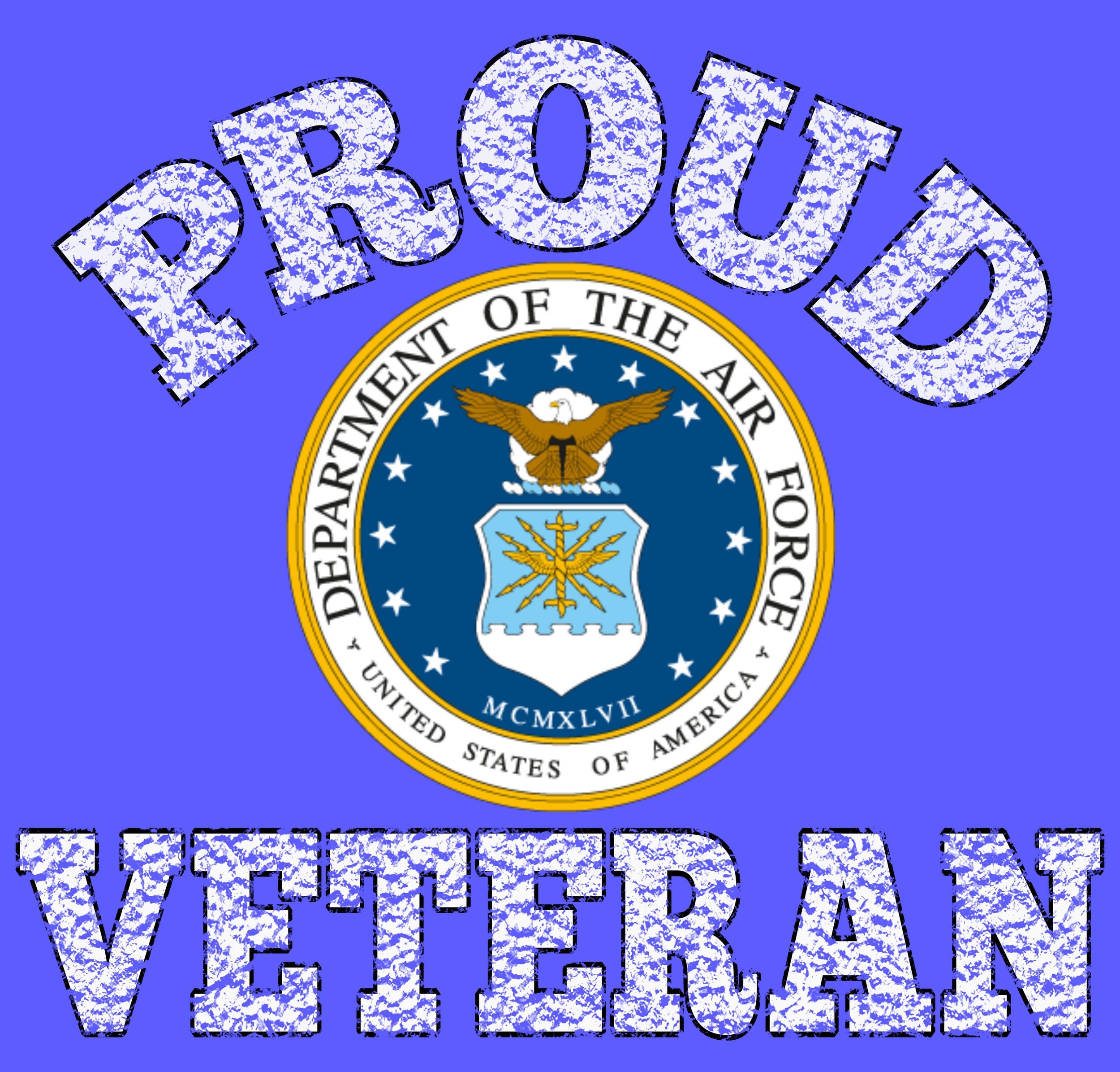US AIR FORCE VETERAN