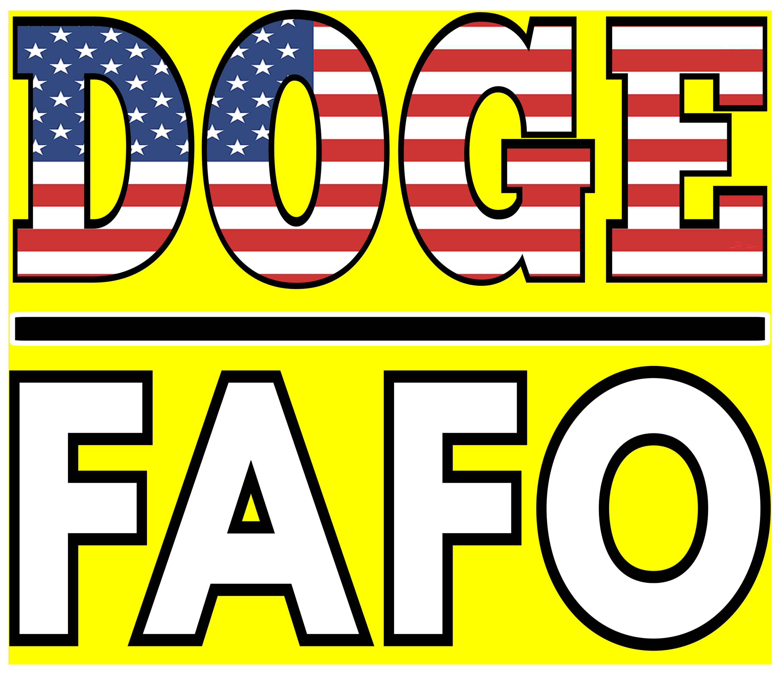 DOGE 13.png