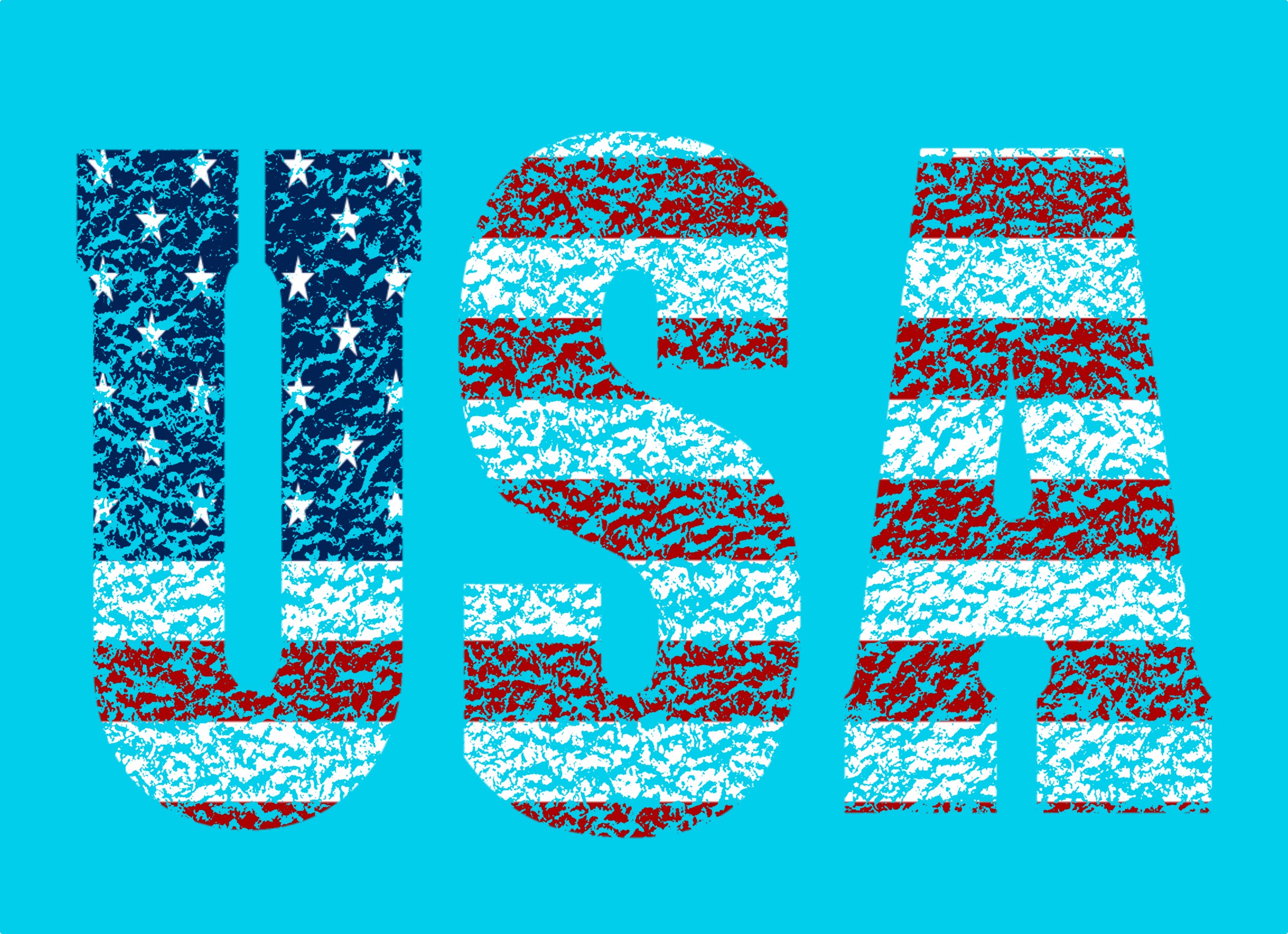USA DISTRESSED7.png